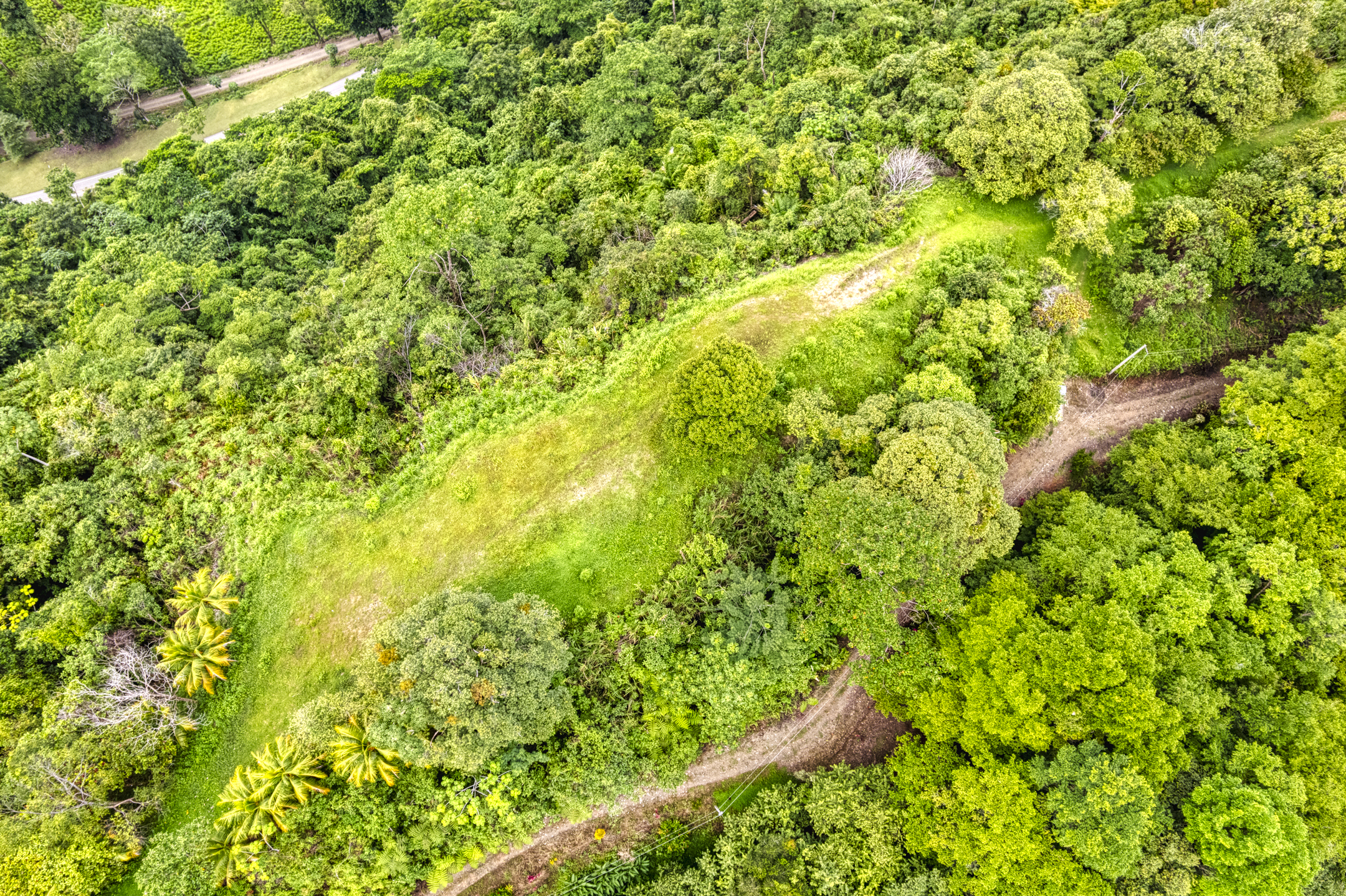 0 bed Communities For Sale in Ojochal, Puntarenas - thumb 10