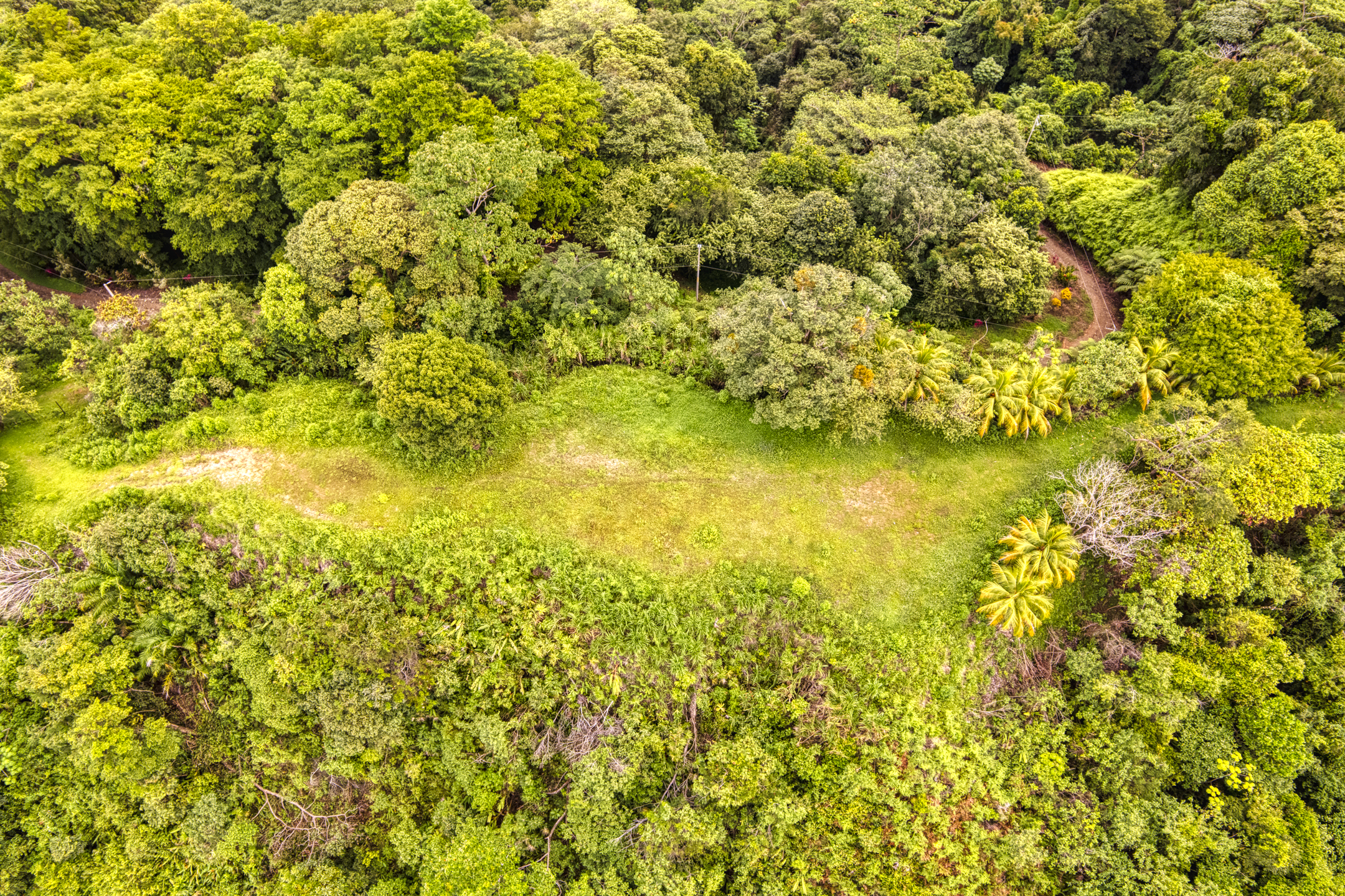 0 bed Communities For Sale in Ojochal, Puntarenas - thumb 8