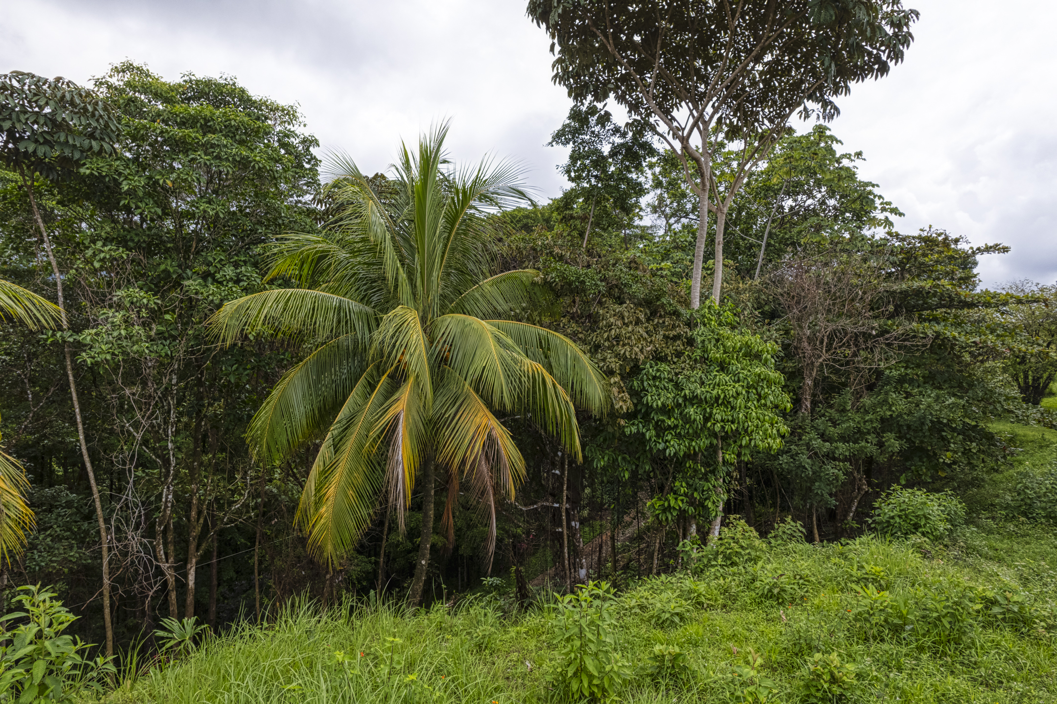 0 bed Communities For Sale in Ojochal, Puntarenas - thumb 27