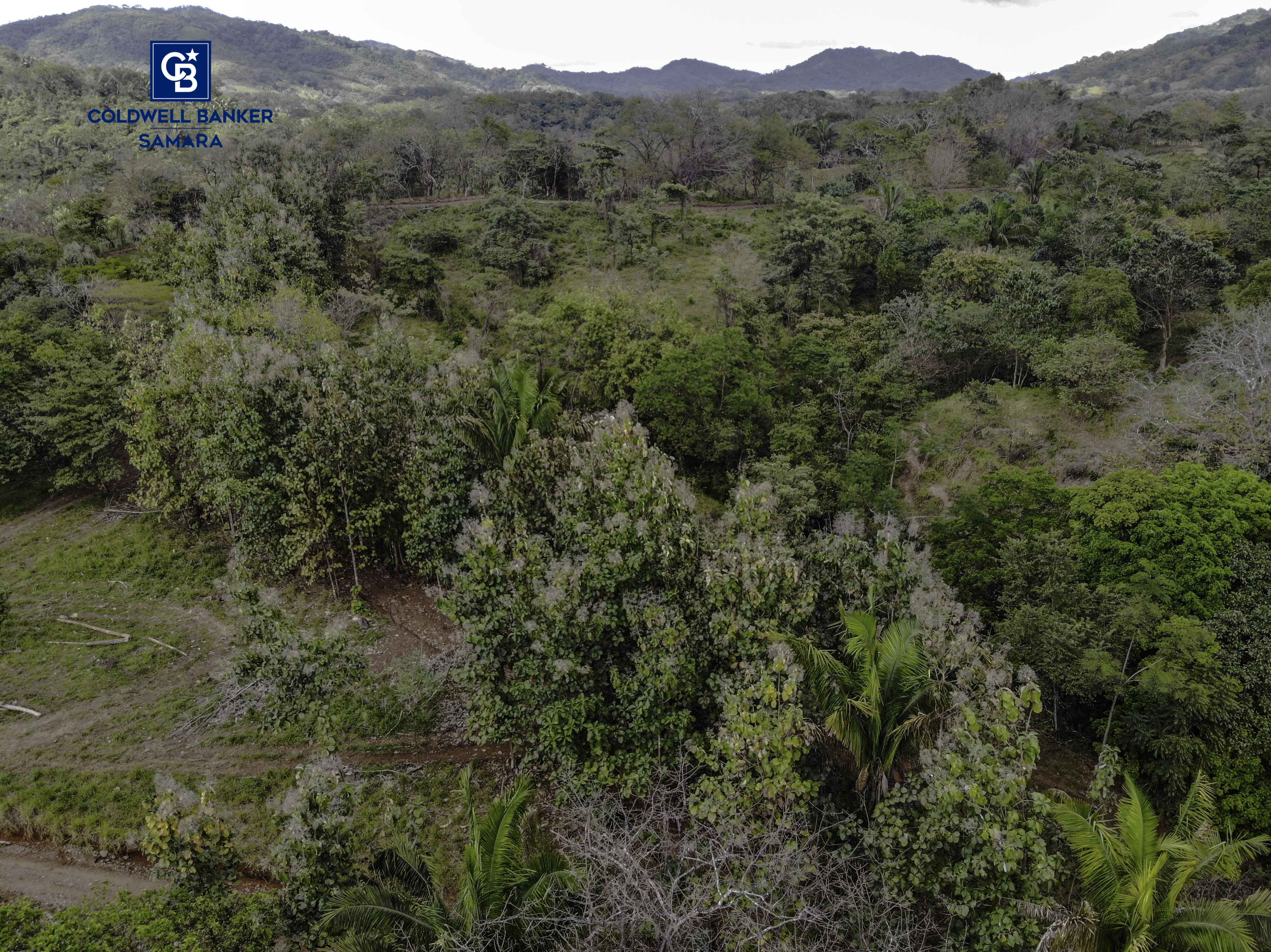 0 bed Land For Sale in Samara, Guanacaste - thumb 5