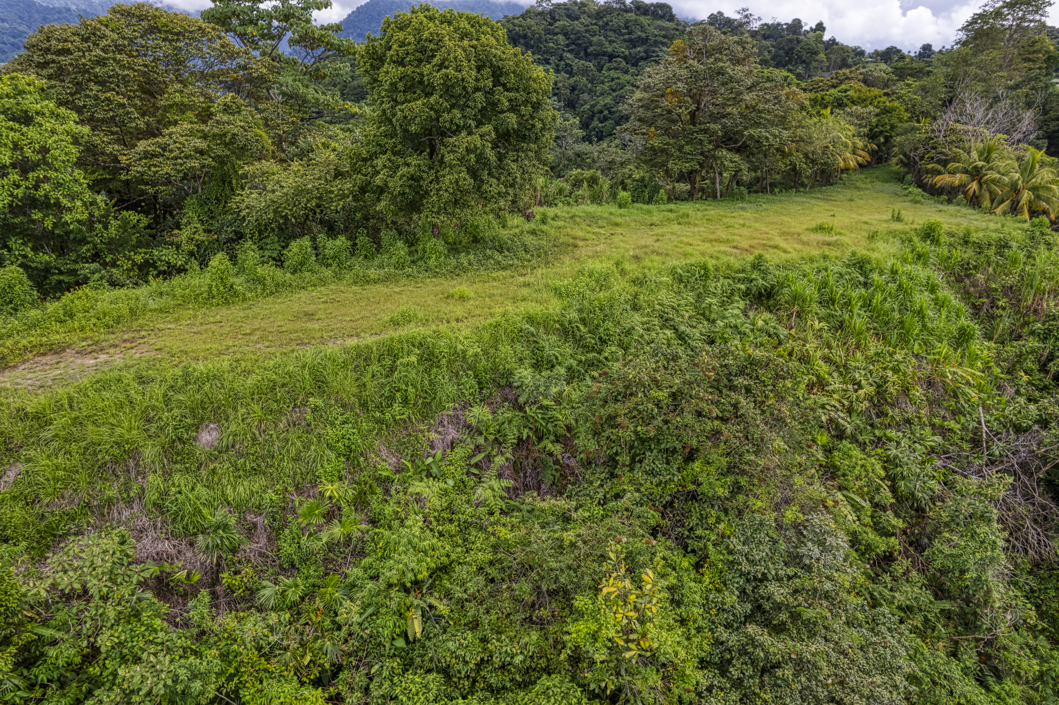0 bed Land For Sale in Ojochal, Puntarenas - thumb 12
