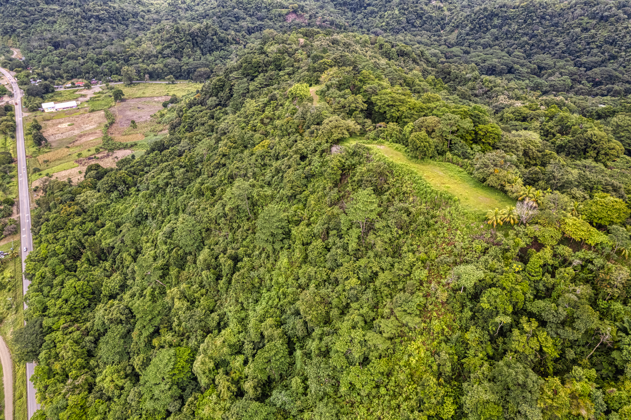 0 bed Land For Sale in Ojochal, Puntarenas - thumb 9