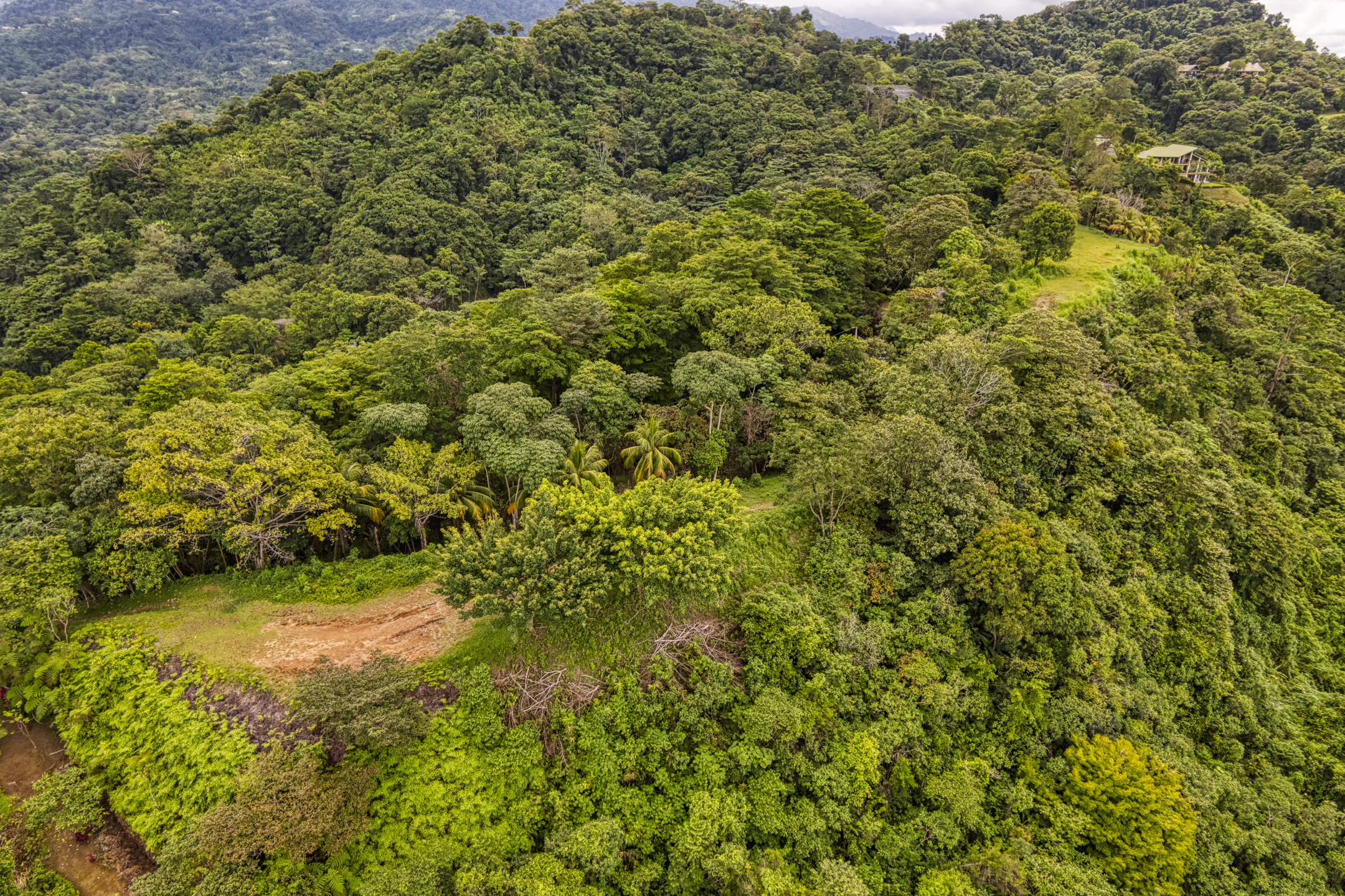 0 bed Land For Sale in Ojochal, Puntarenas - thumb 13