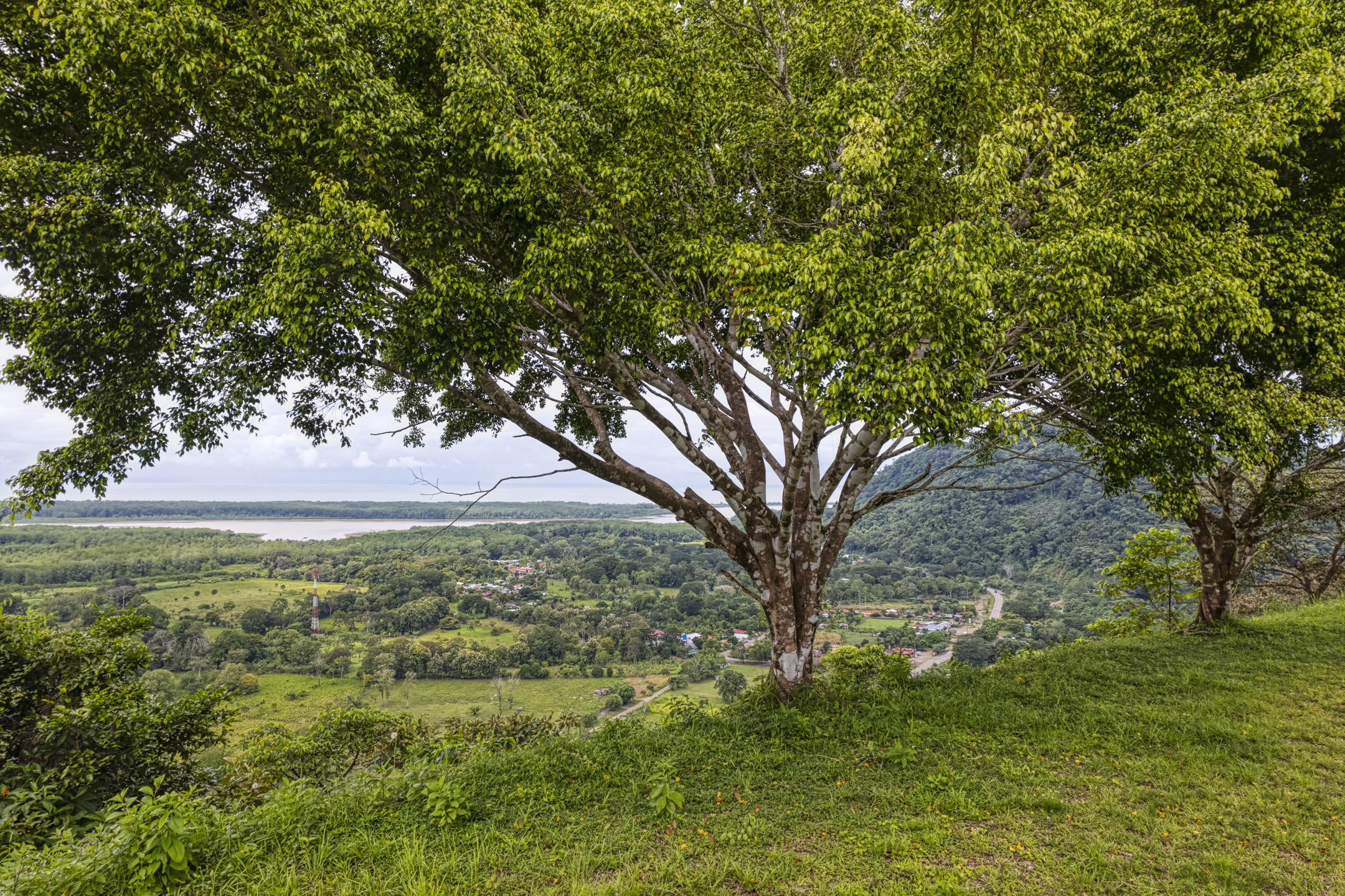 0 bed Land For Sale in Ojochal, Puntarenas - thumb 1