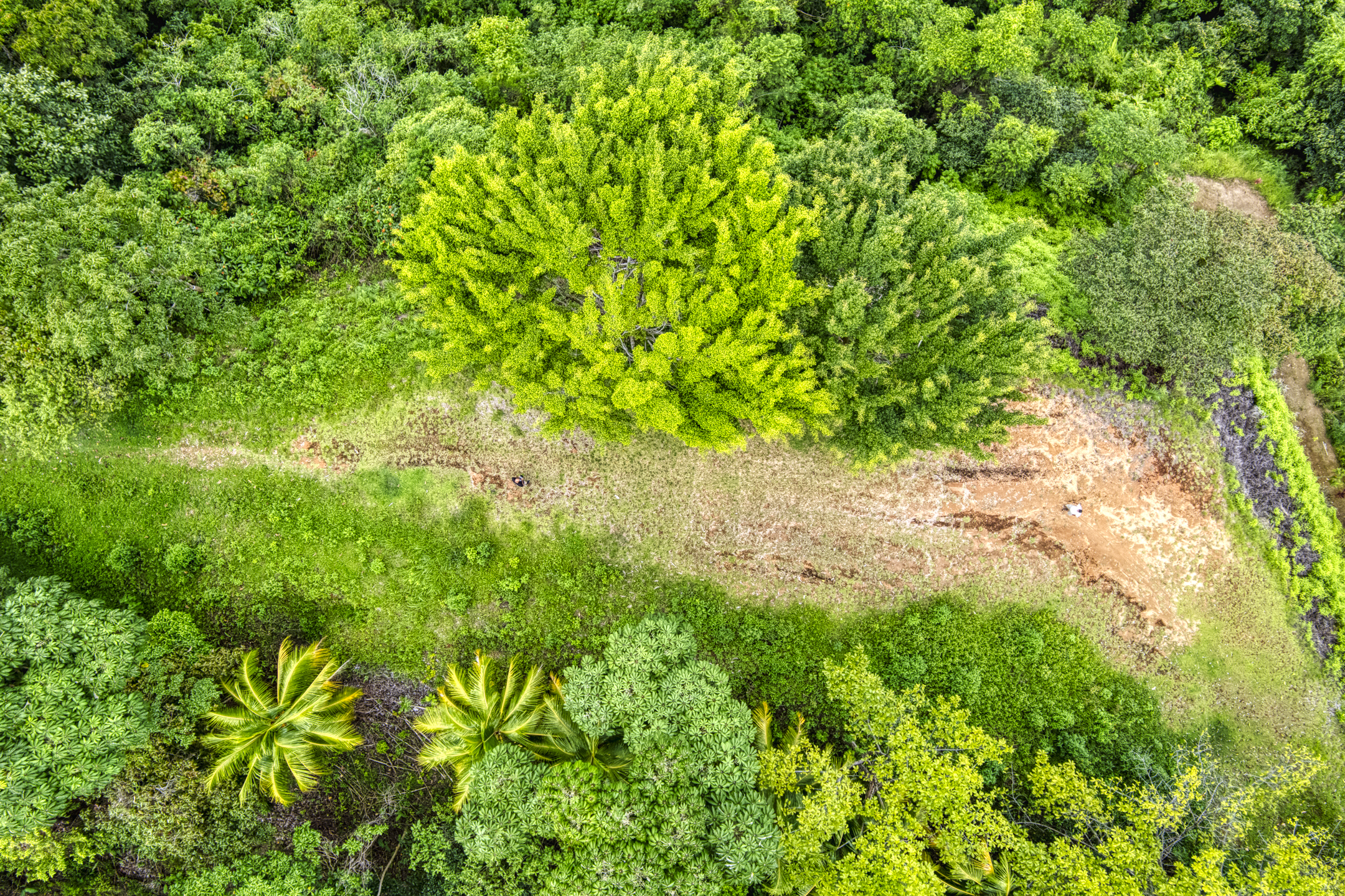 0 bed Land For Sale in Ojochal, Puntarenas - thumb 11