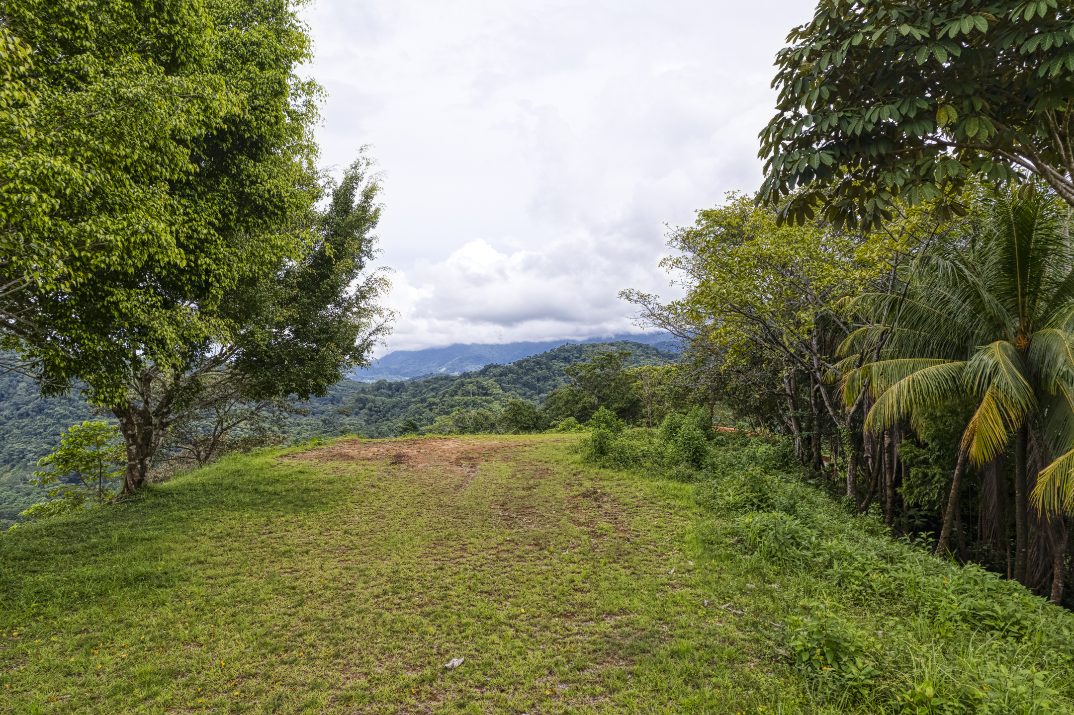 0 bed Land For Sale in Ojochal, Puntarenas - thumb 14