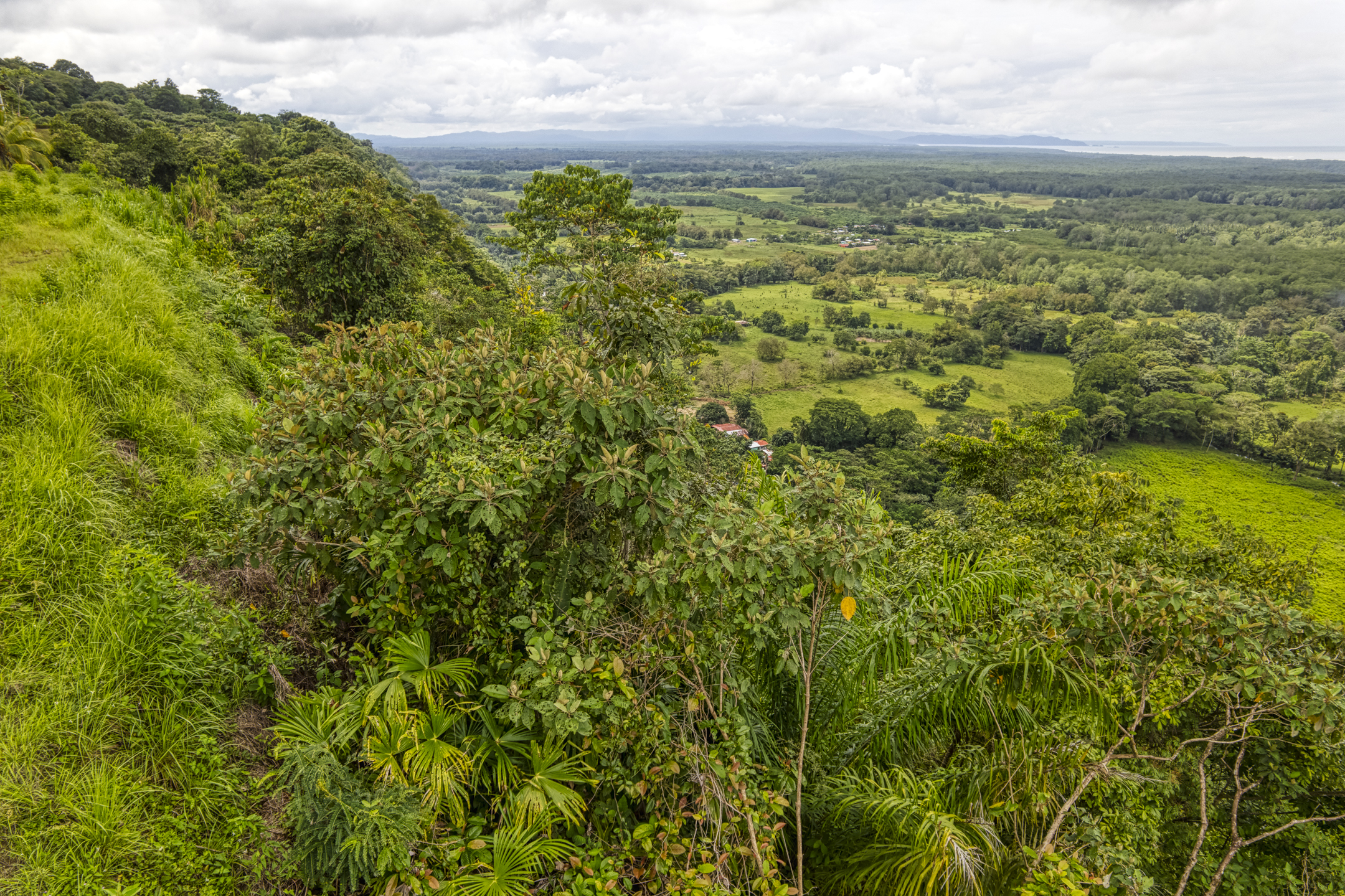 0 bed Land For Sale in Ojochal, Puntarenas - thumb 15