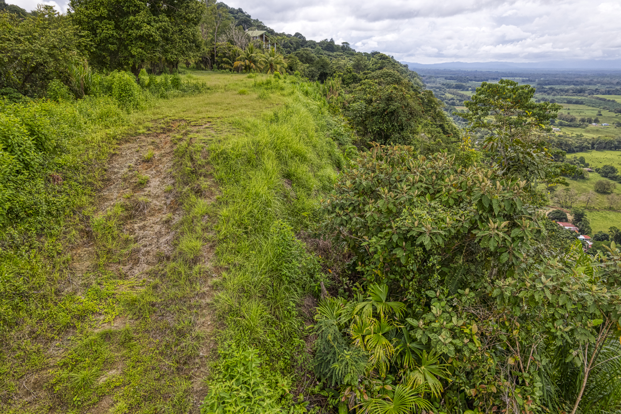 0 bed Land For Sale in Ojochal, Puntarenas - thumb 14