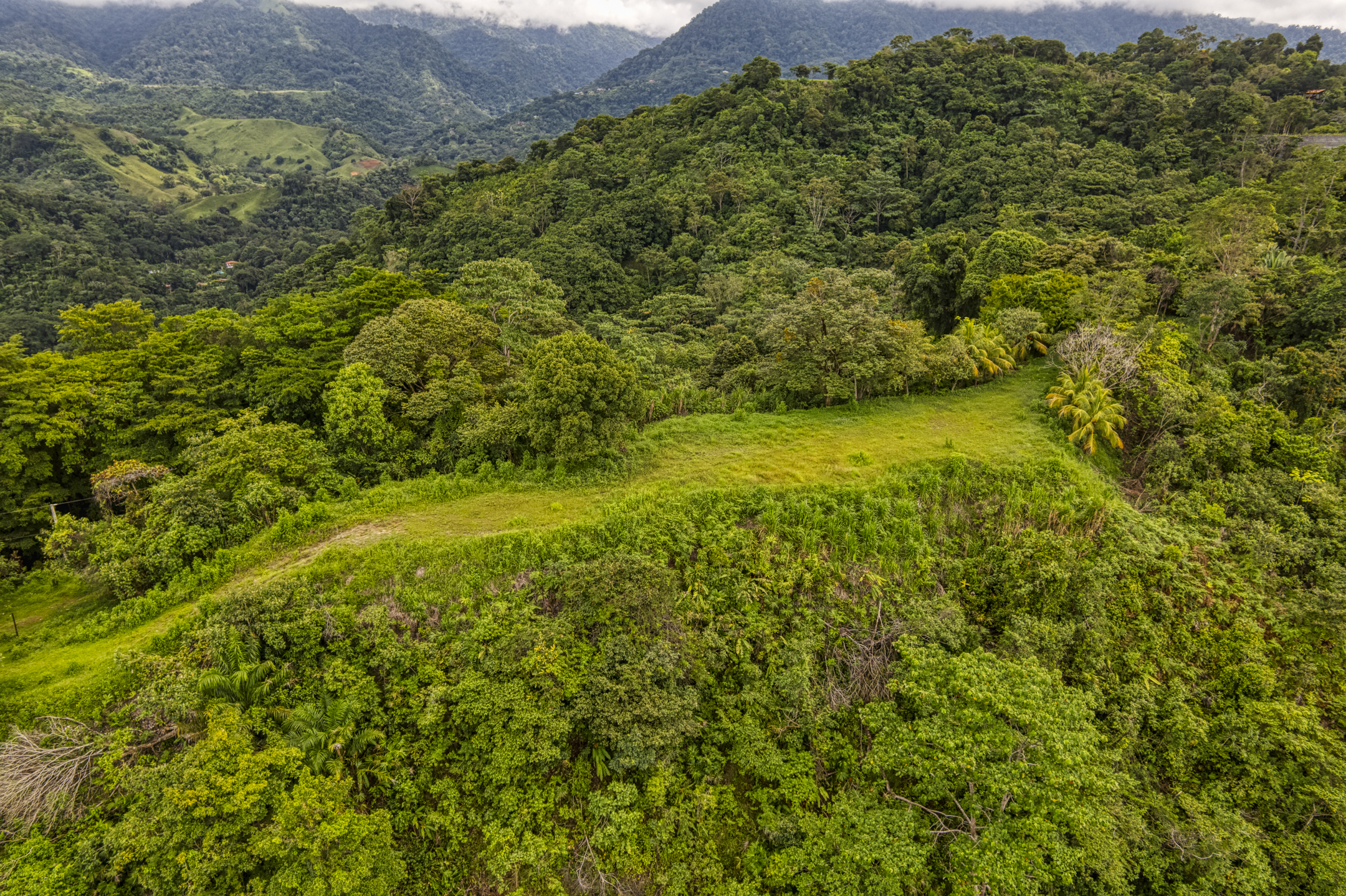 0 bed Land For Sale in Ojochal, Puntarenas - thumb 13