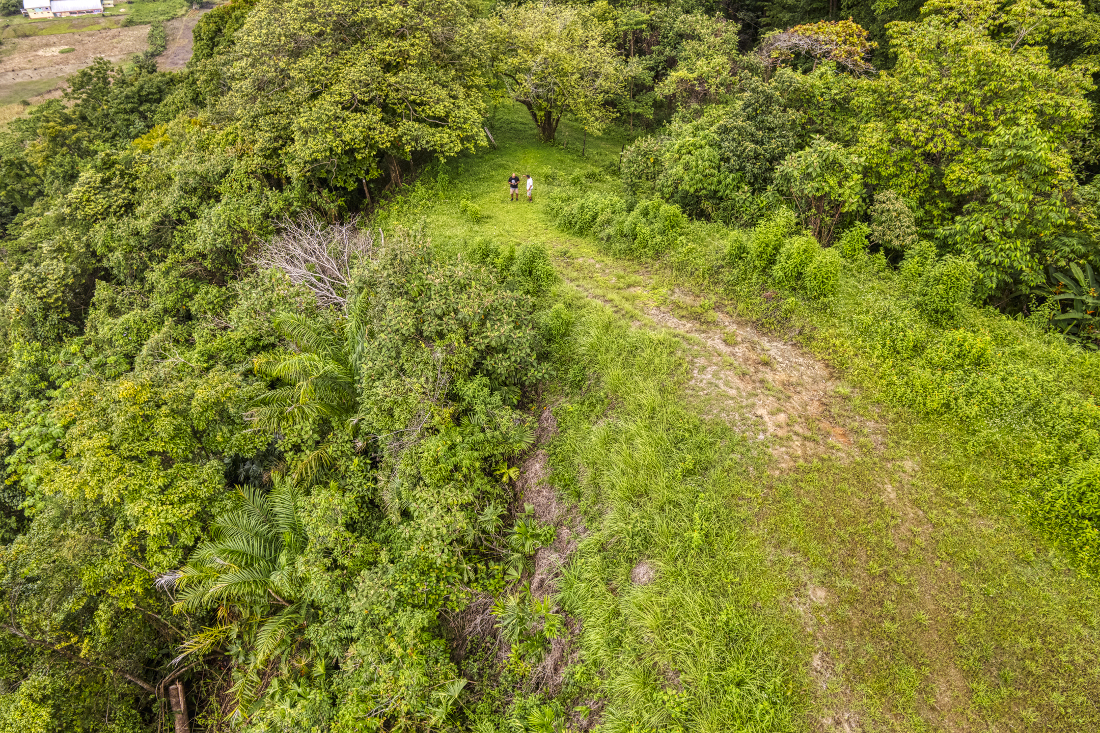 0 bed Land For Sale in Ojochal, Puntarenas - thumb 16