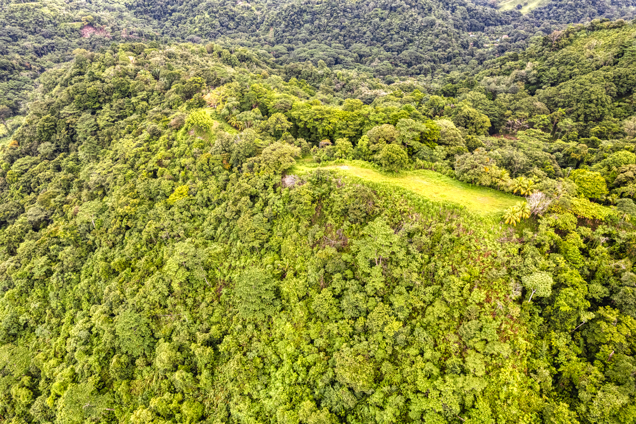 0 bed Land For Sale in Ojochal, Puntarenas - thumb 10