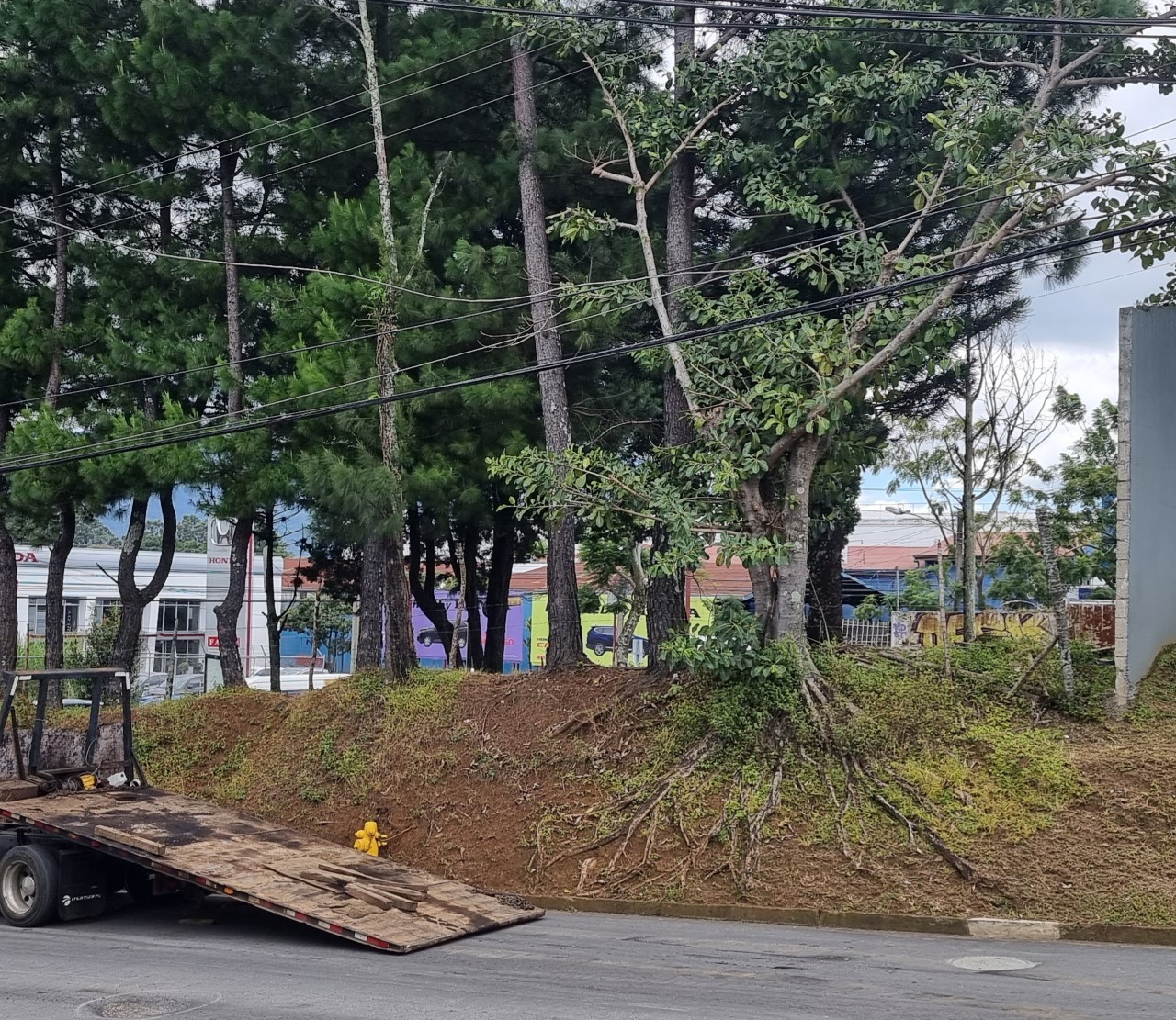 0 bed Land For Sale in Curridabat, San Jose - thumb 1