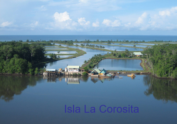 0 bed Land For Sale in Panama City, Panama - thumb 1