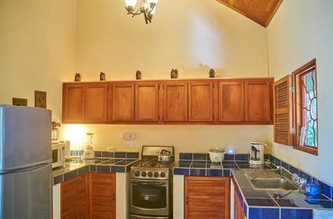 2 bed Single Family Homes For Sale in Dominical, Puntarenas - thumb 5