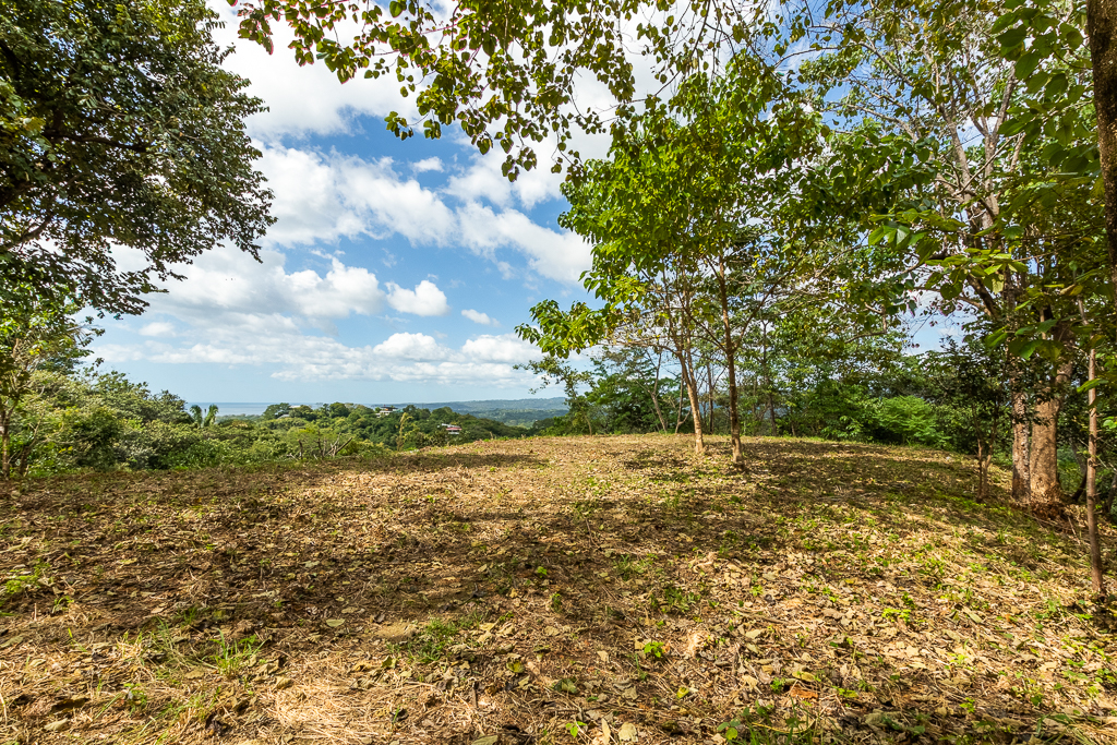 0 bed Land For Sale in Nosara, Guanacaste - thumb 6