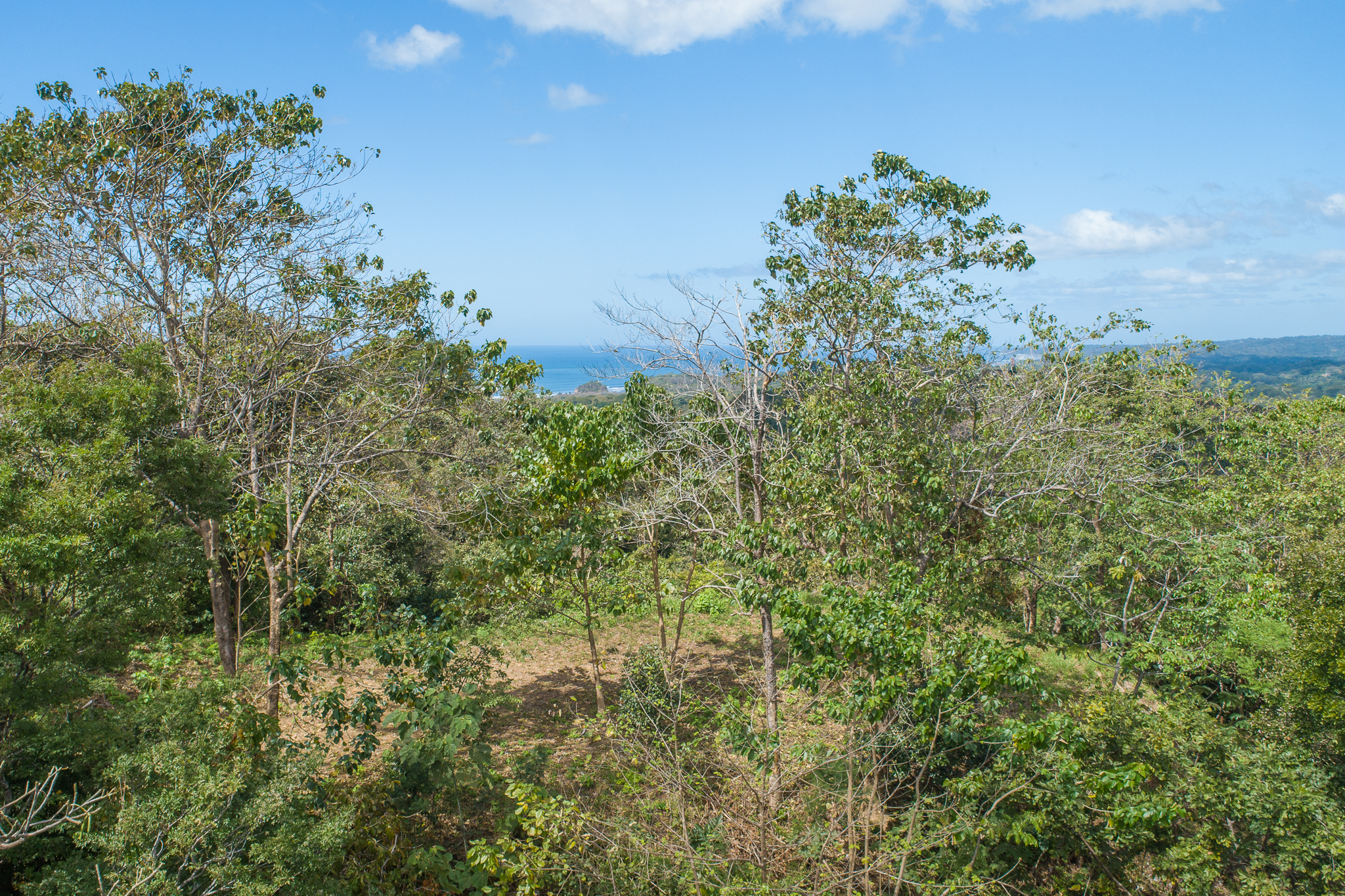 0 bed Land For Sale in Nosara, Guanacaste - thumb 4