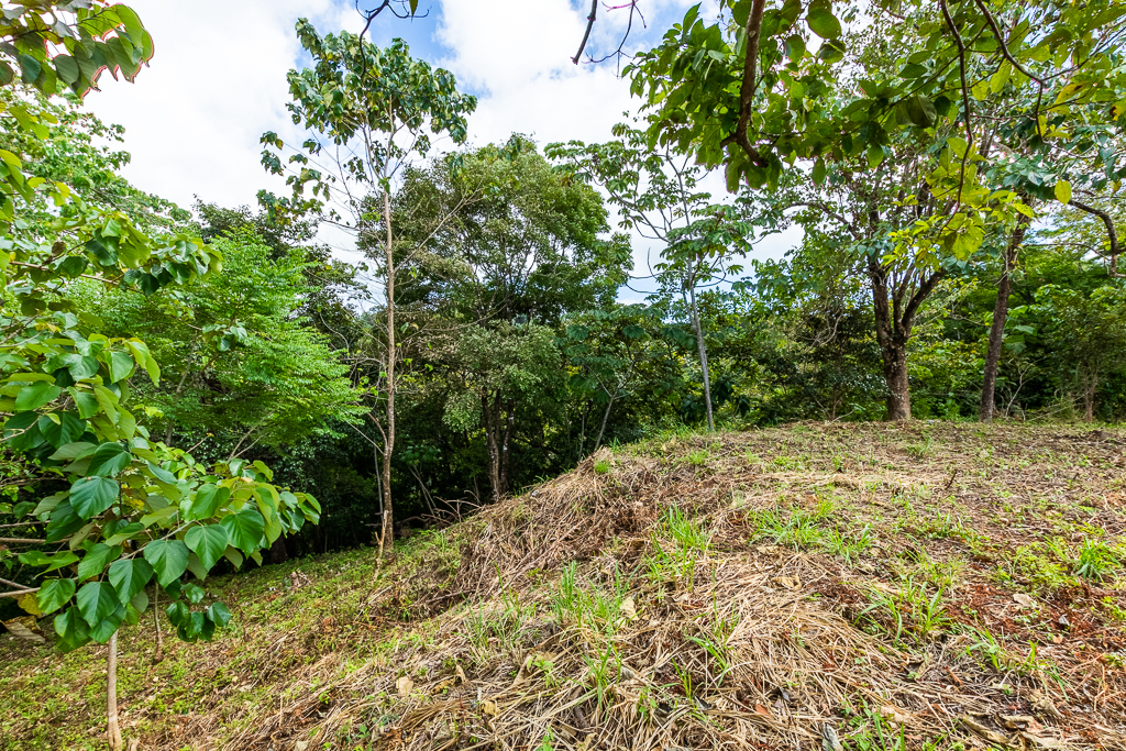 0 bed Land For Sale in Nosara, Guanacaste - thumb 9