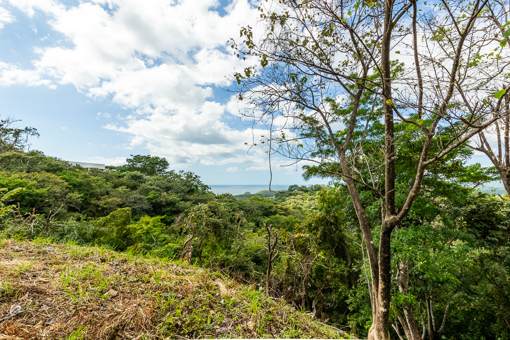 0 bed Land For Sale in Nosara, Guanacaste - thumb 8