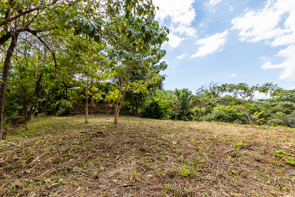 0 bed Land For Sale in Nosara, Guanacaste - thumb 10