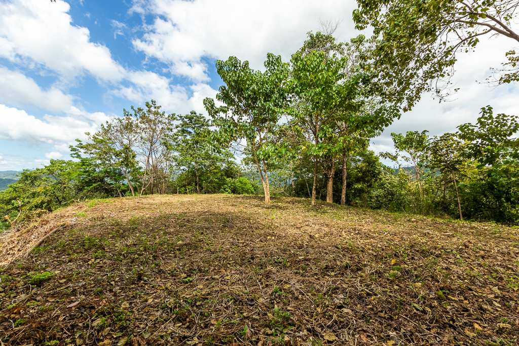 0 bed Land For Sale in Nosara, Guanacaste - thumb 12