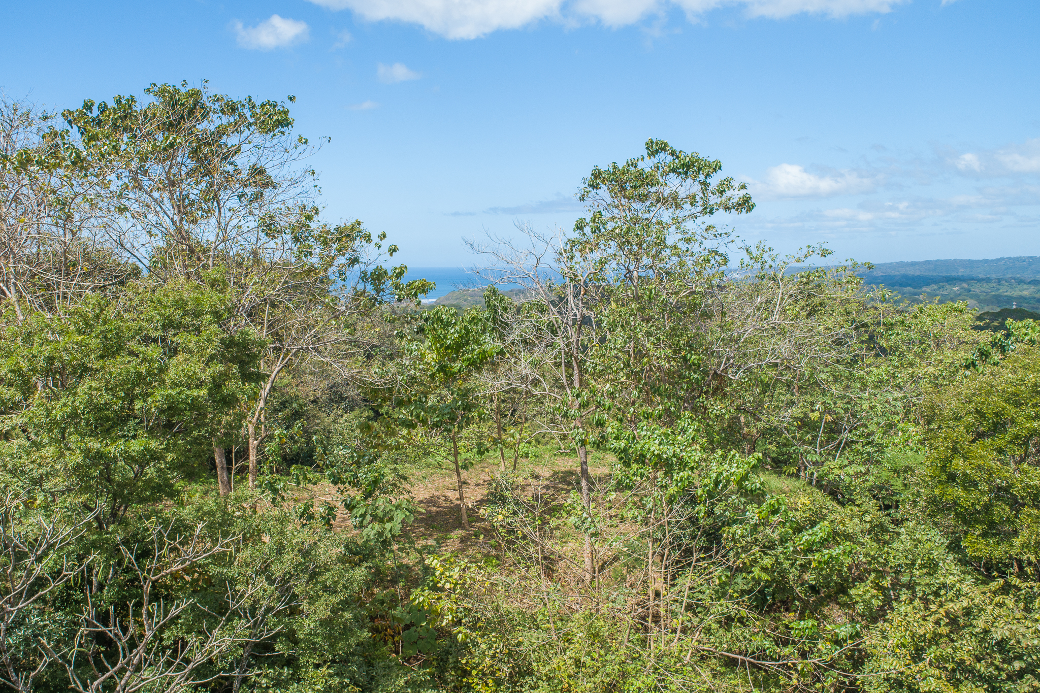 0 bed Land For Sale in Nosara, Guanacaste - thumb 3