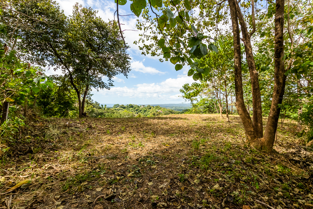 0 bed Land For Sale in Nosara, Guanacaste - thumb 7