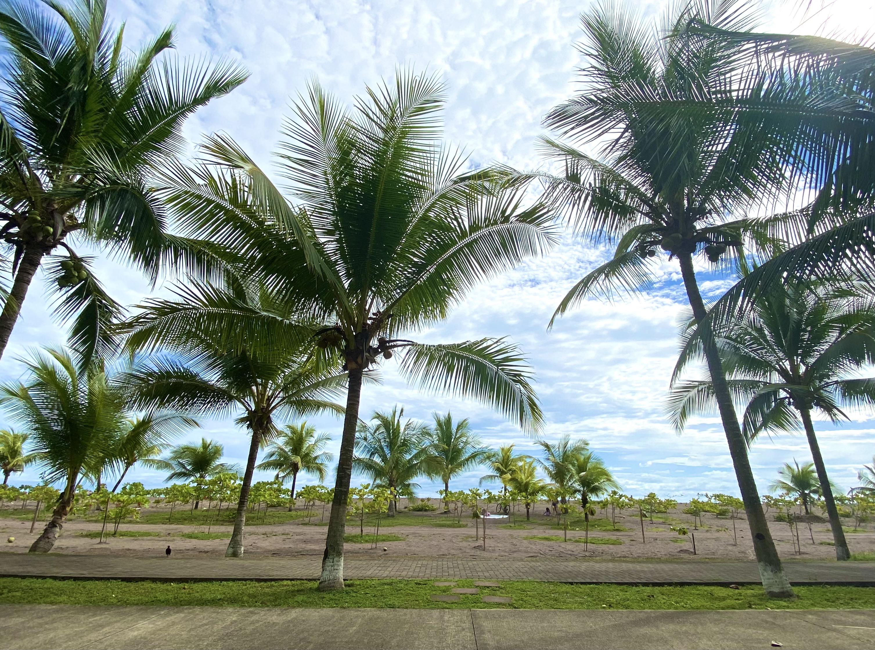 3 bed Single Family Homes For Sale in Jaco, Puntarenas - thumb 24