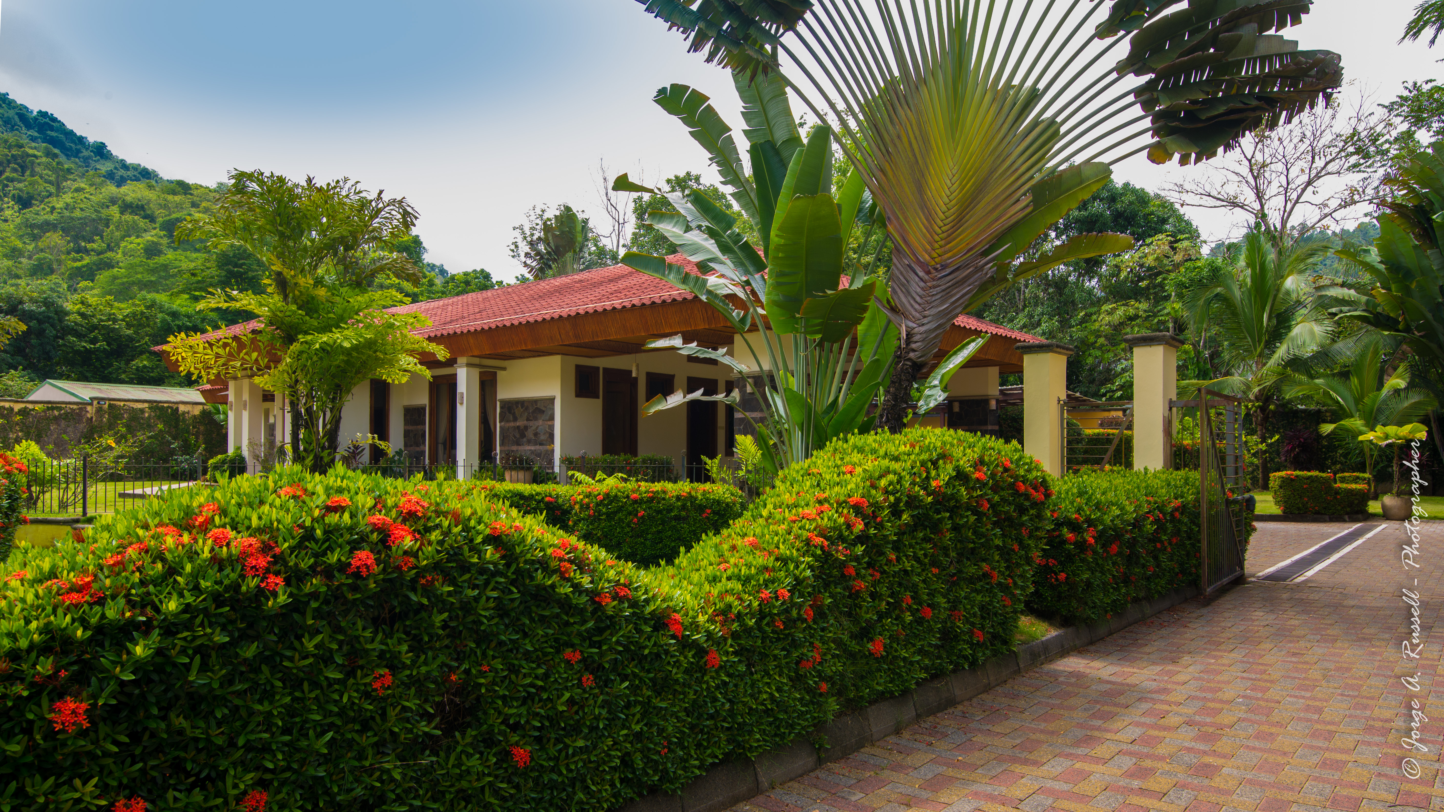 3 bed Single Family Homes For Sale in Jaco, Puntarenas - thumb 13