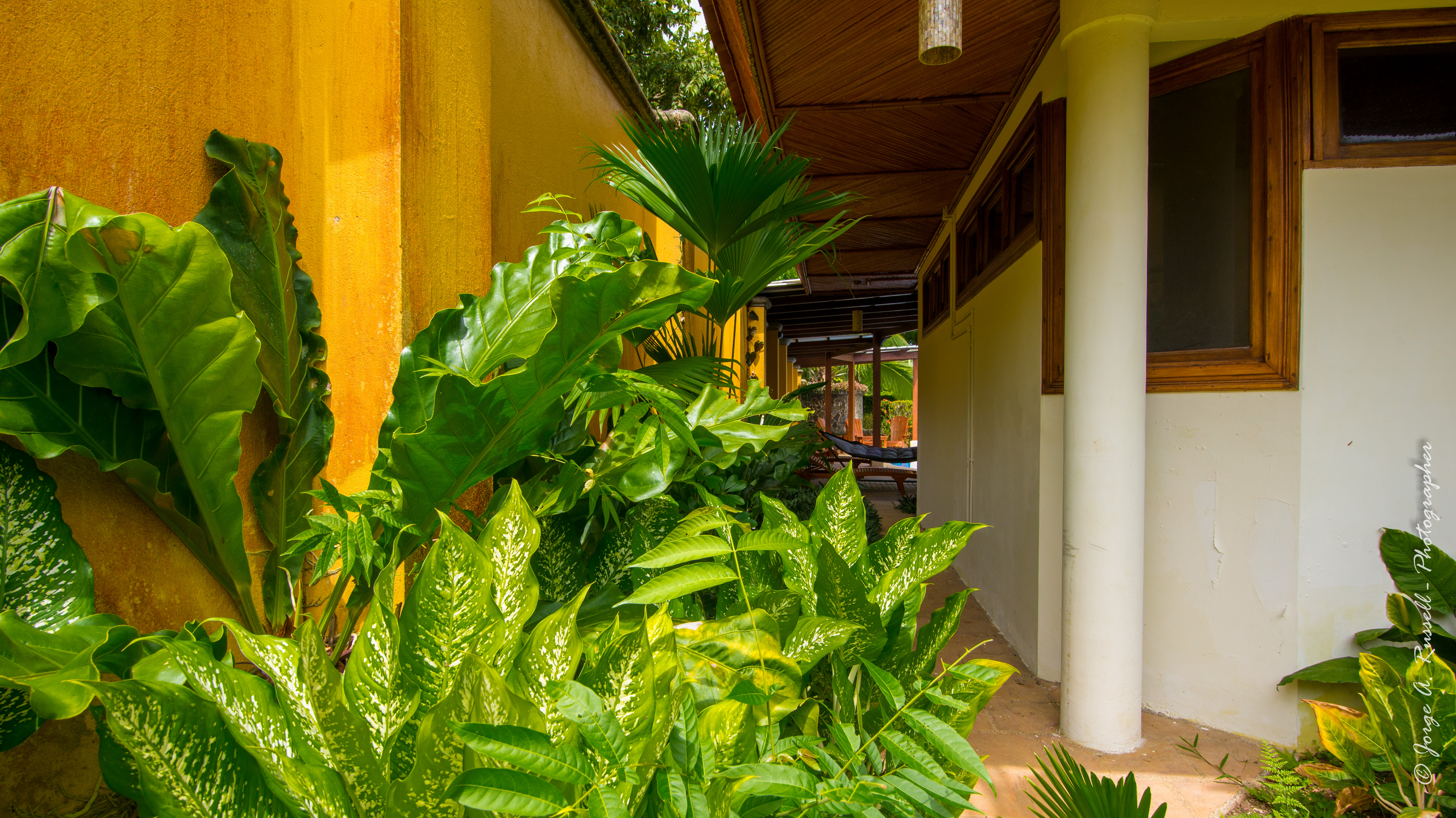 3 bed Single Family Homes For Sale in Jaco, Puntarenas - thumb 14