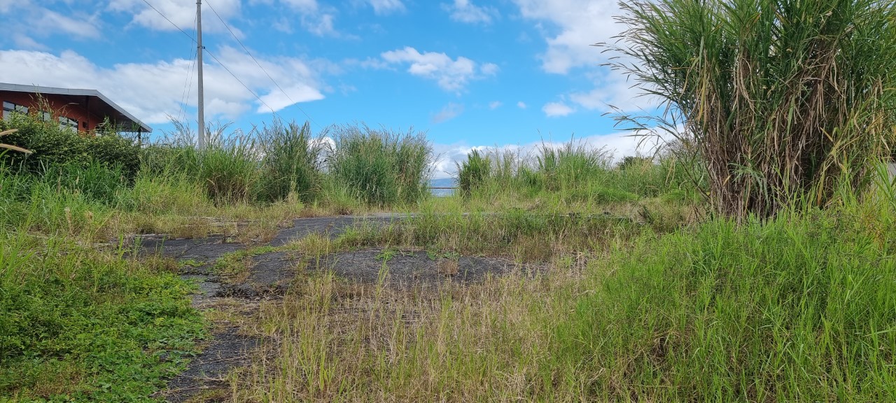 0 bed Land For Rent in Curridabat, San Jose - thumb 10