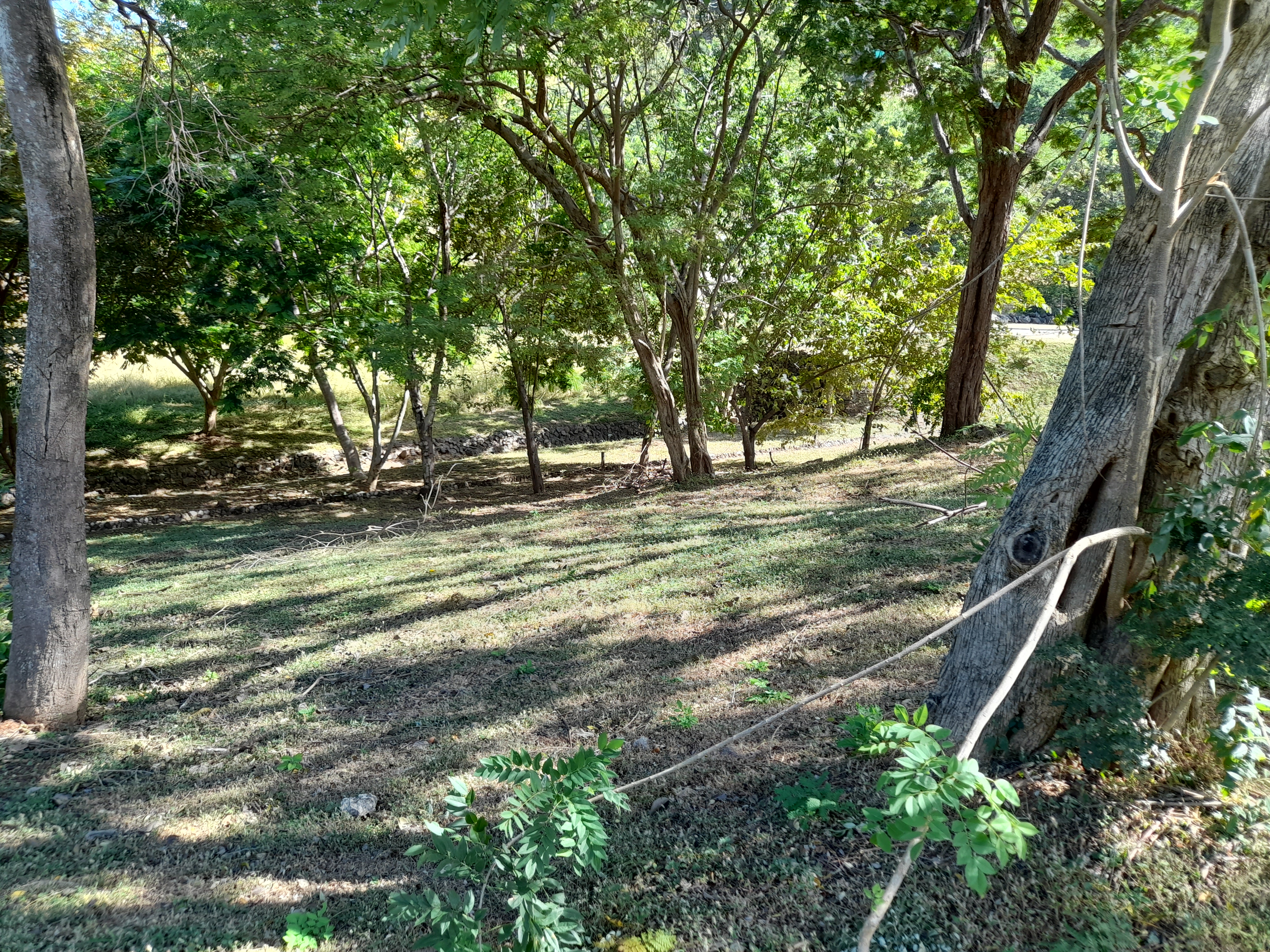 0 bed Land For Sale in Tamarindo, Guanacaste - thumb 6