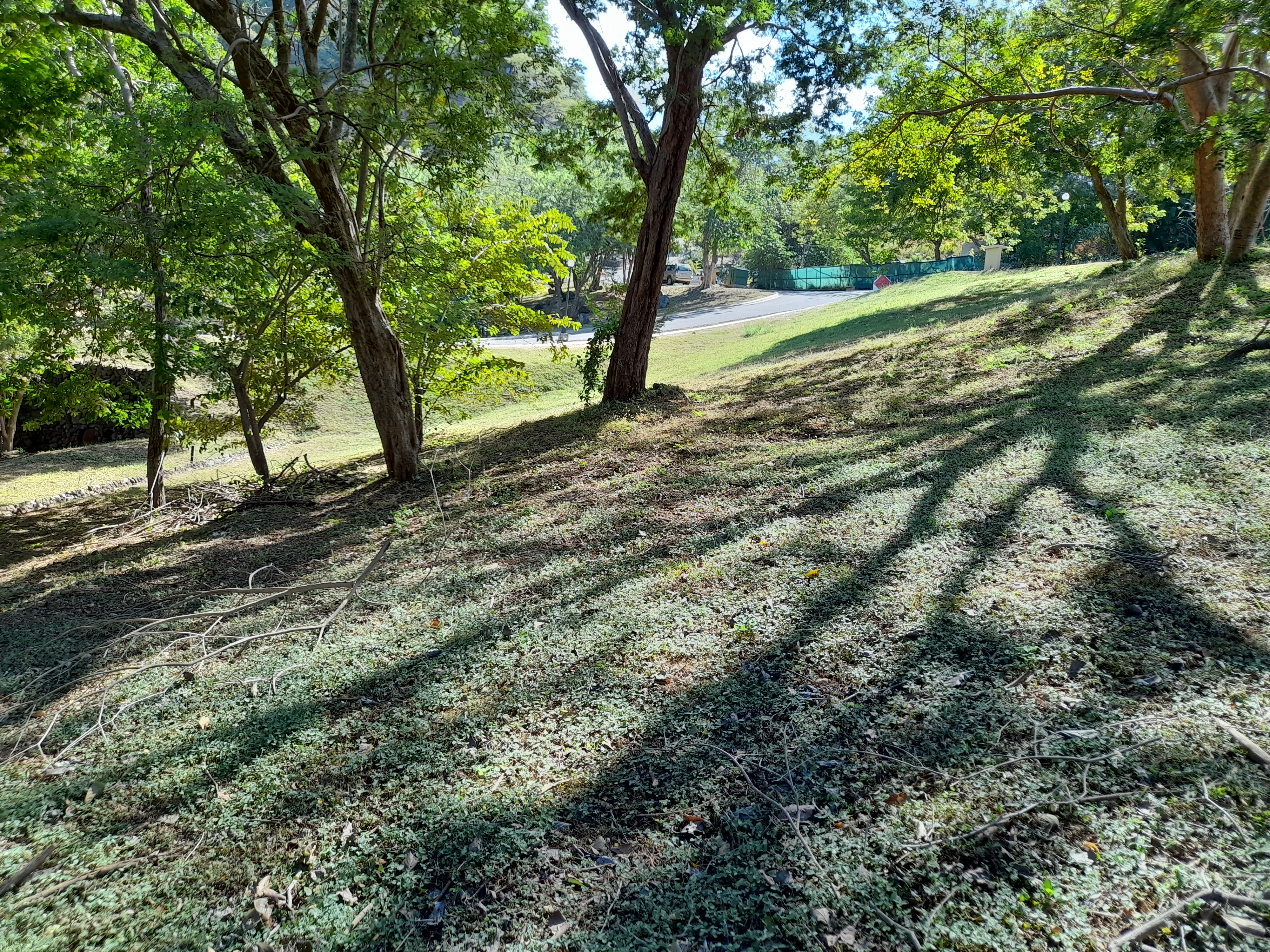 0 bed Land For Sale in Tamarindo, Guanacaste - thumb 7