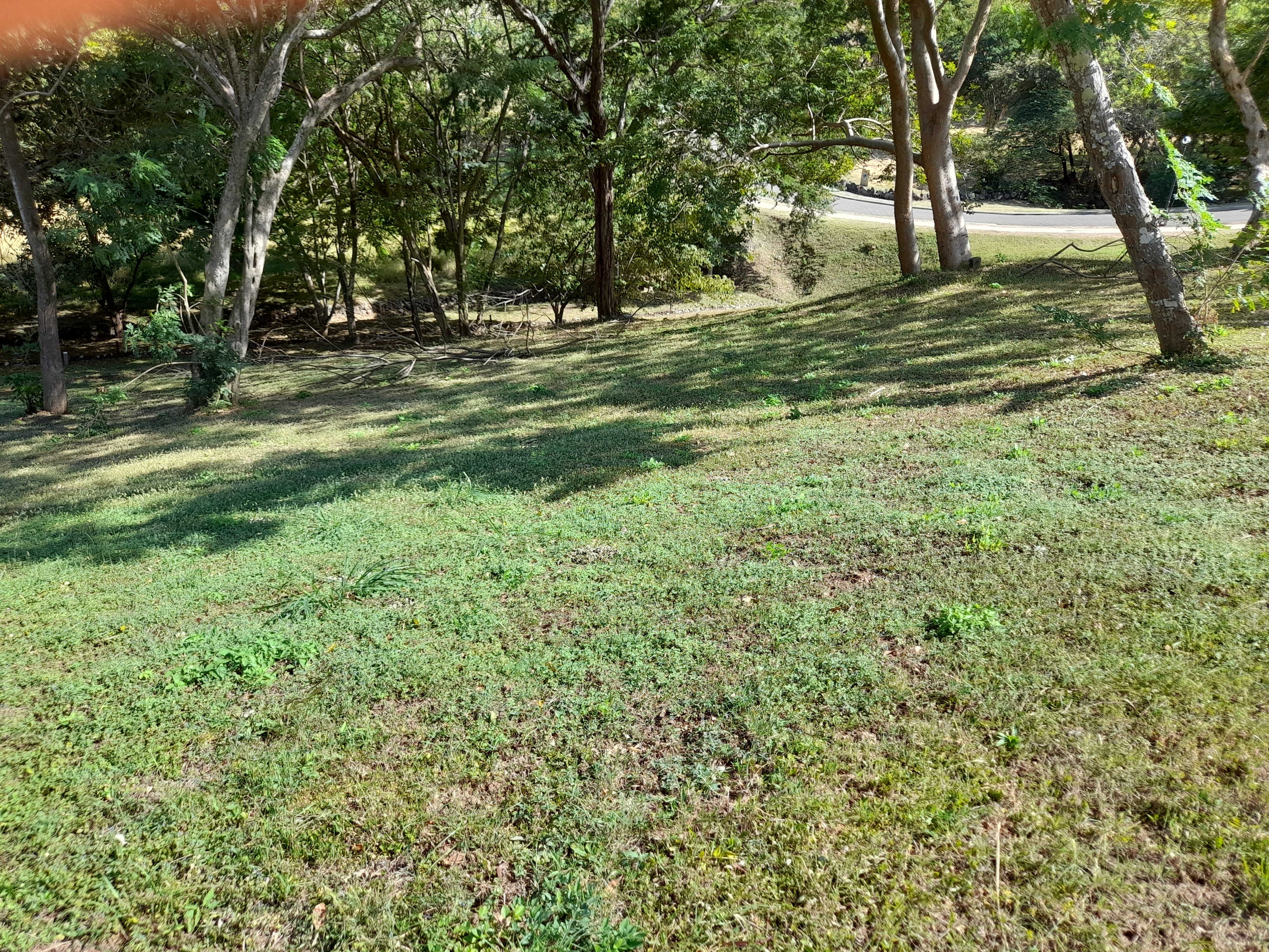 0 bed Land For Sale in Tamarindo, Guanacaste - thumb 3