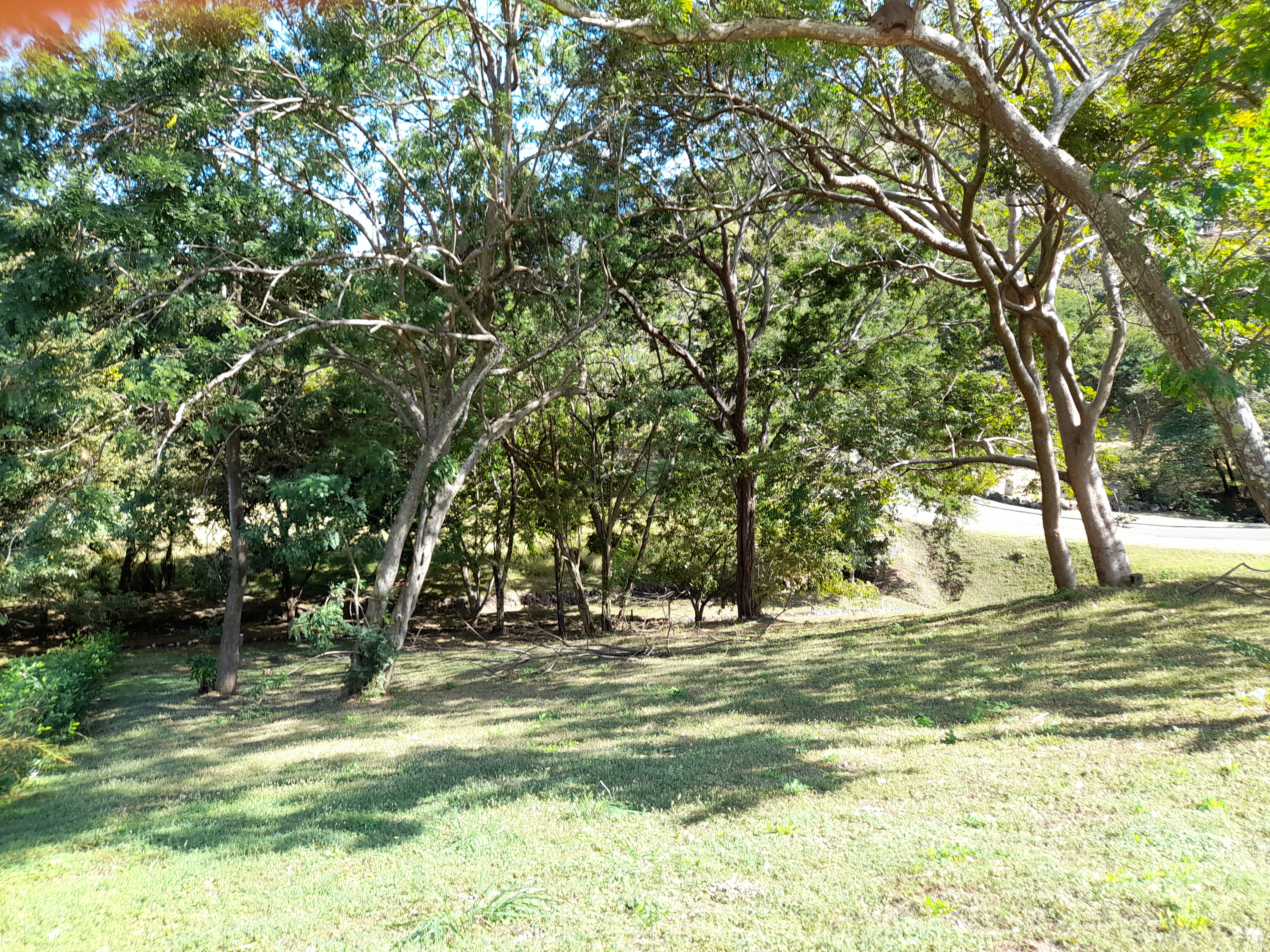 0 bed Land For Sale in Tamarindo, Guanacaste - thumb 4