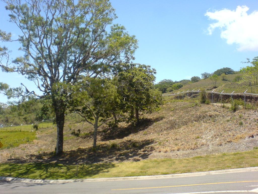 0 bed Land For Sale in Ciudad Colon, San Jose - thumb 4