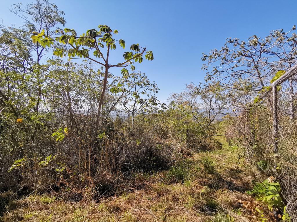 0 bed Land For Sale in Ciudad Colon, San Jose - thumb 5