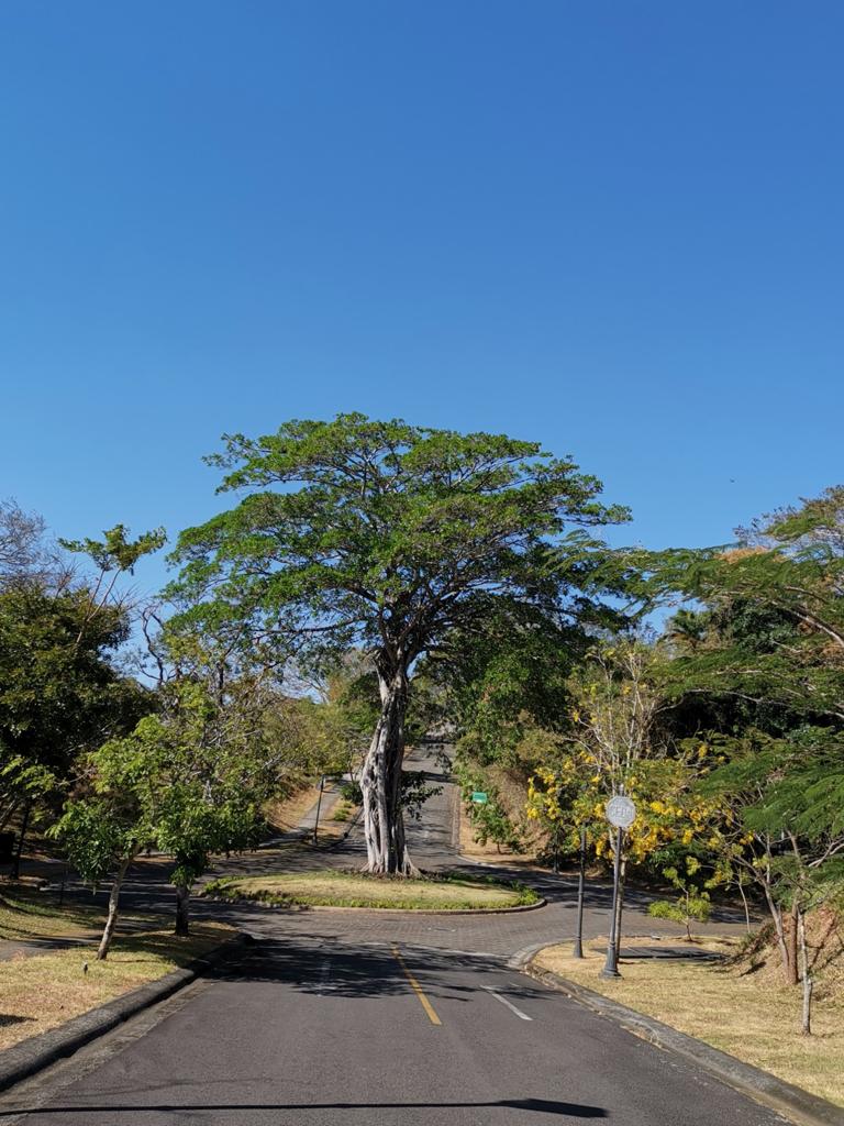 0 bed Land For Sale in Ciudad Colon, San Jose - thumb 7