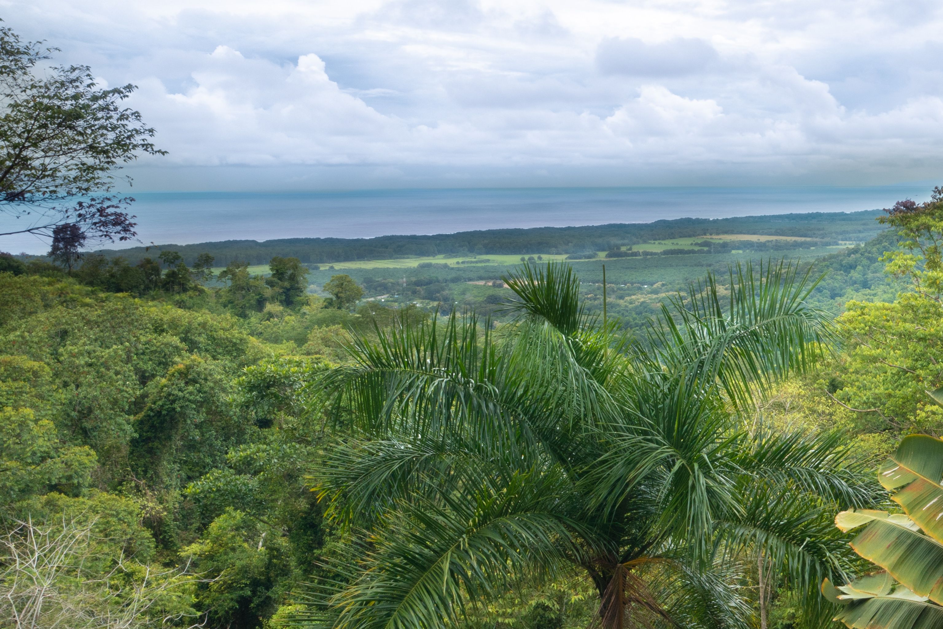 4 bed Single Family Homes For Sale in Puntarenas, Puntarenas - thumb 24