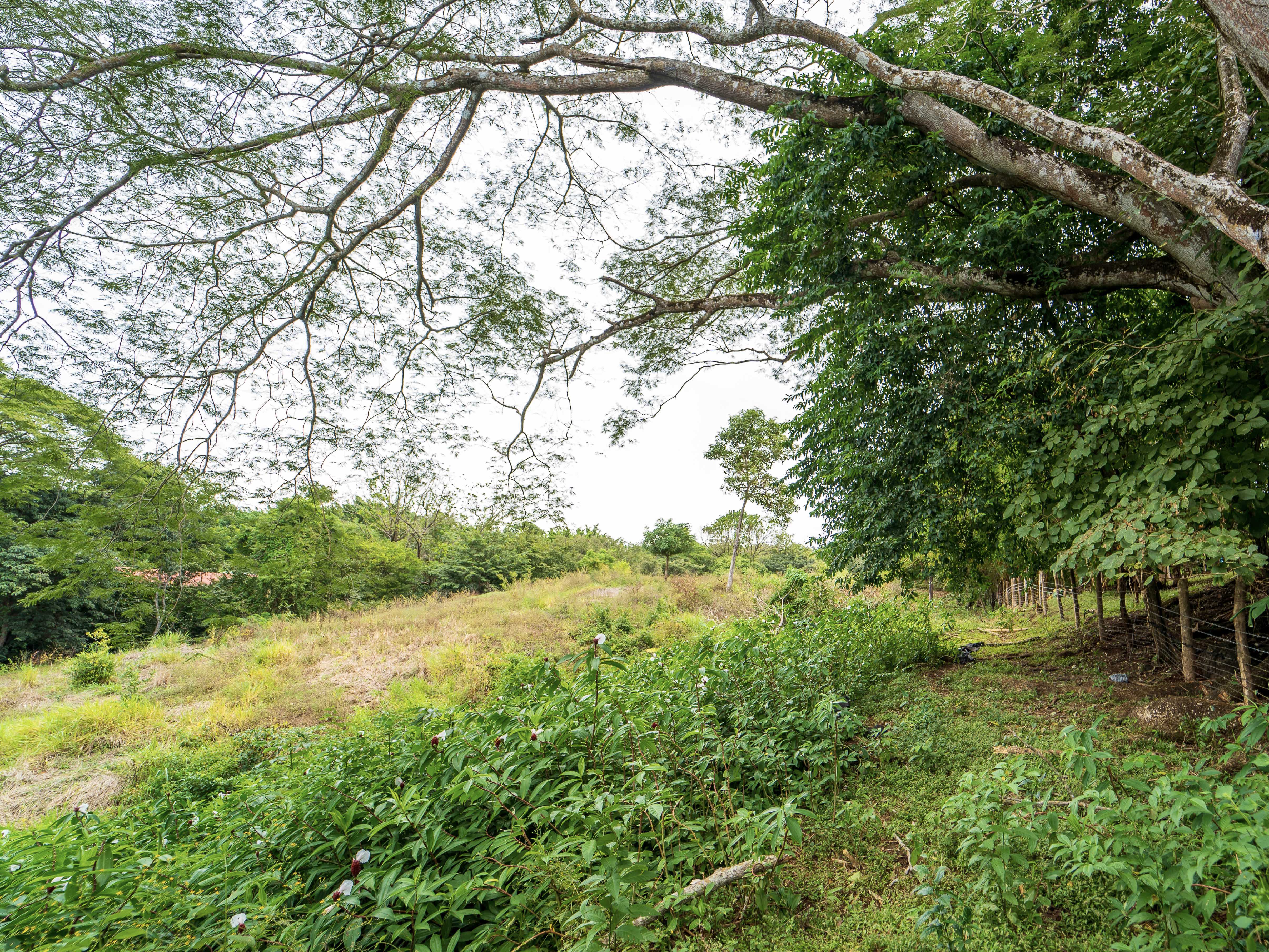0 bed Land For Sale in Playa Carrillo, Guanacaste - thumb 10