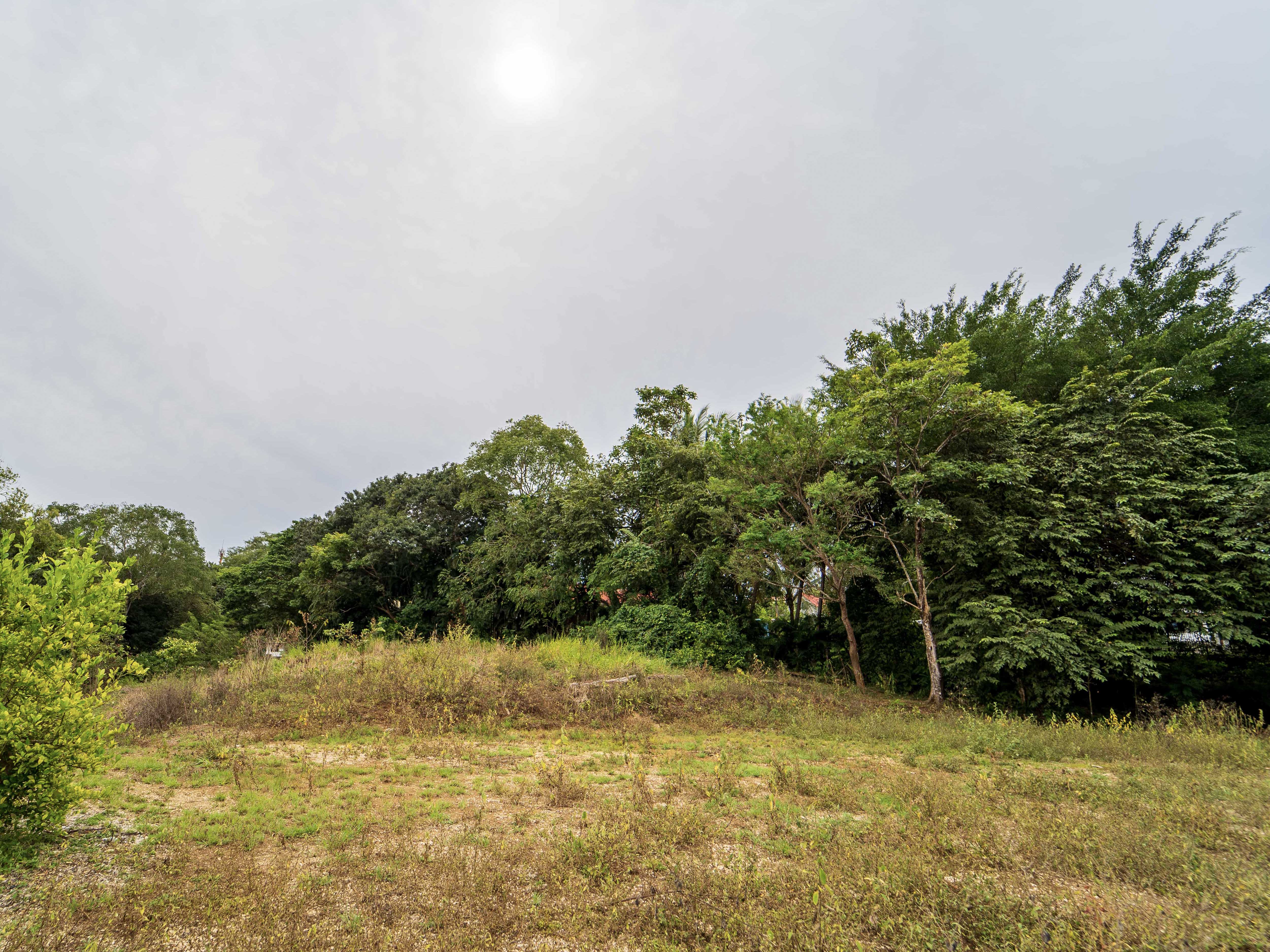 0 bed Land For Sale in Playa Carrillo, Guanacaste - thumb 16