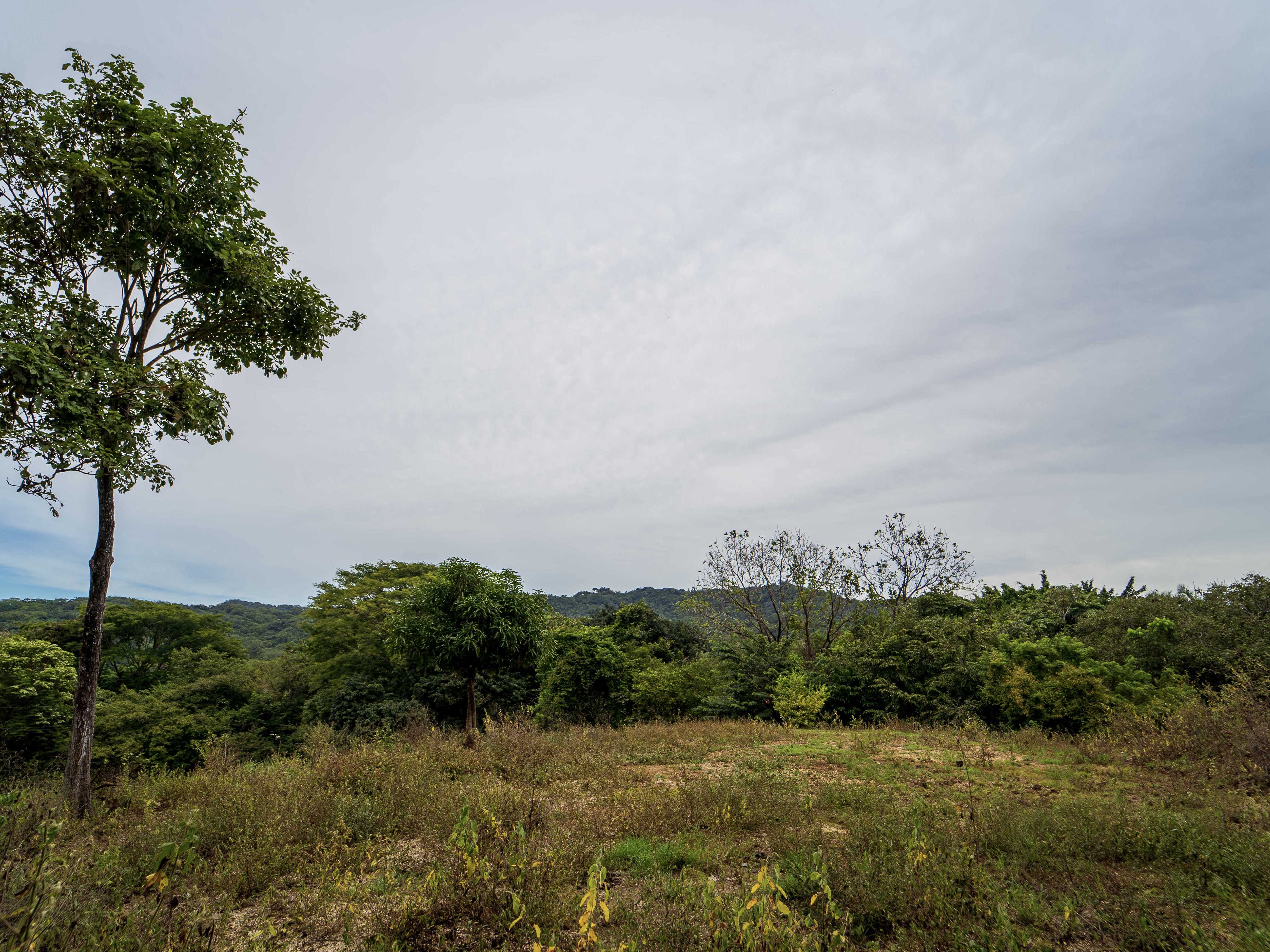 0 bed Land For Sale in Playa Carrillo, Guanacaste - thumb 11