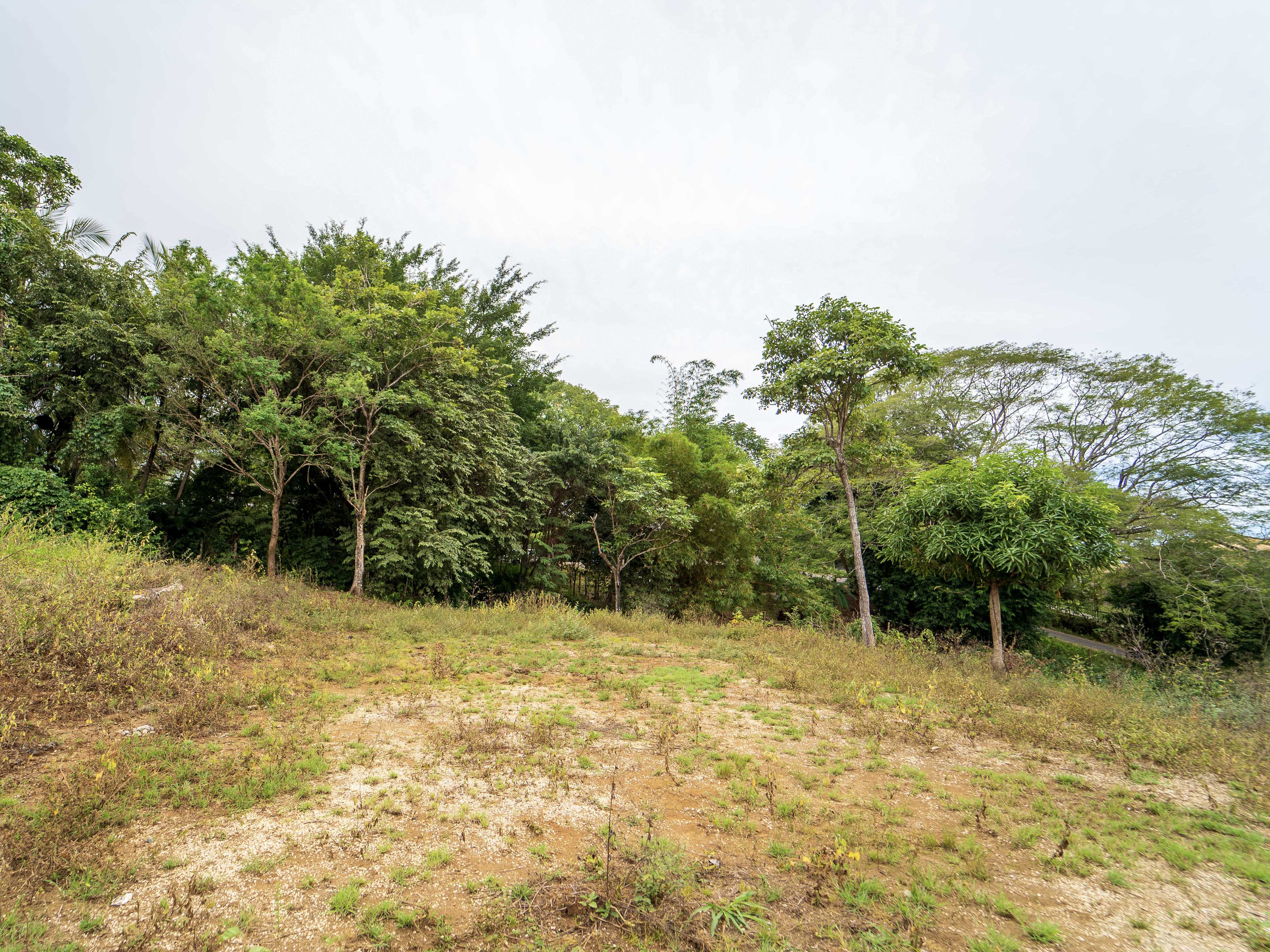 0 bed Land For Sale in Playa Carrillo, Guanacaste - thumb 14