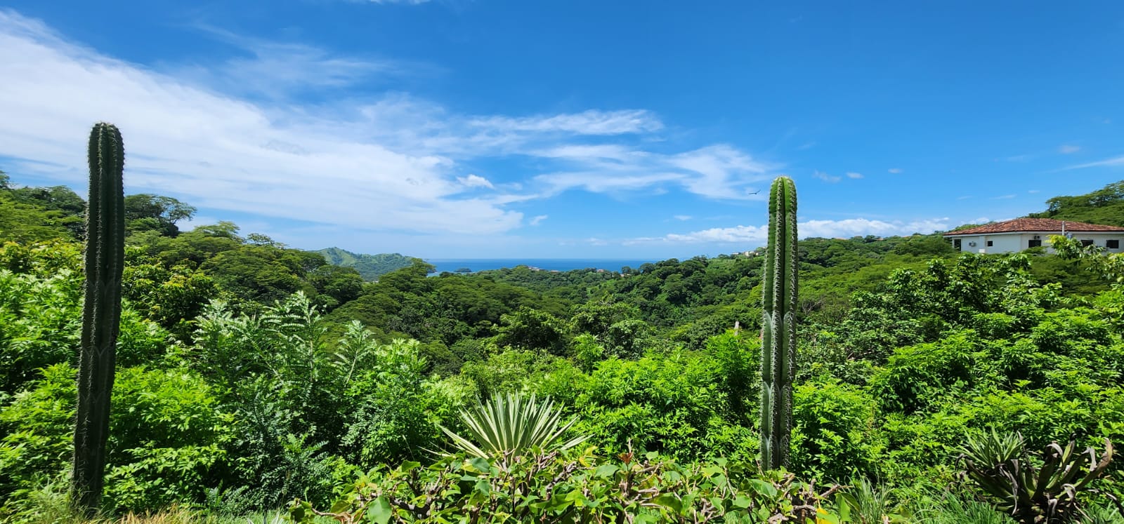 2 bed Condo For Sale in Playas Del Coco, Guanacaste - thumb 8