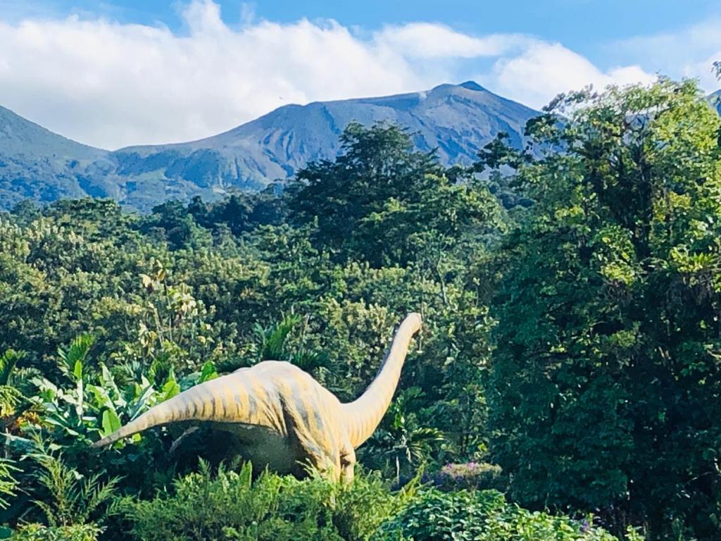 50 bed Hotel / Leisure For Sale in Liberia, Guanacaste - thumb 5