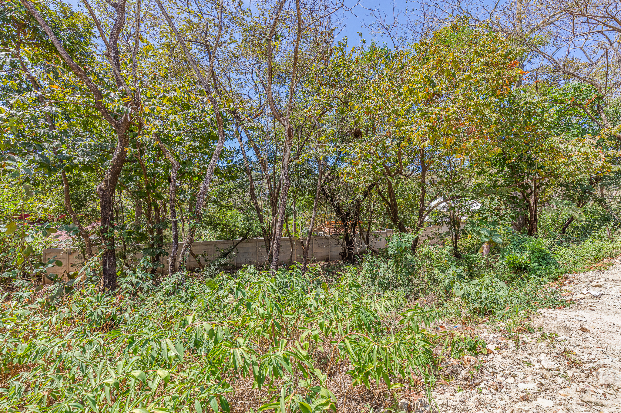 0 bed Land For Sale in Nosara, Guanacaste - thumb 6