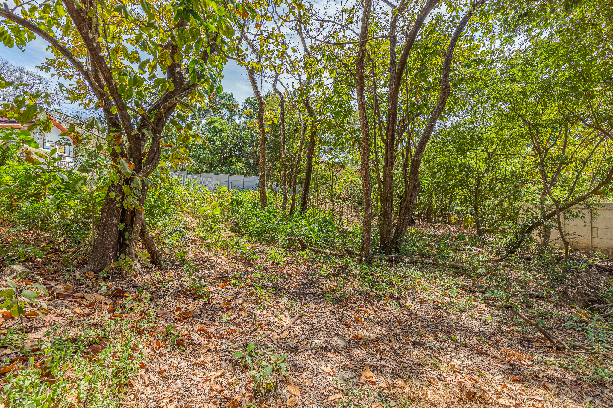 0 bed Land For Sale in Nosara, Guanacaste - thumb 8