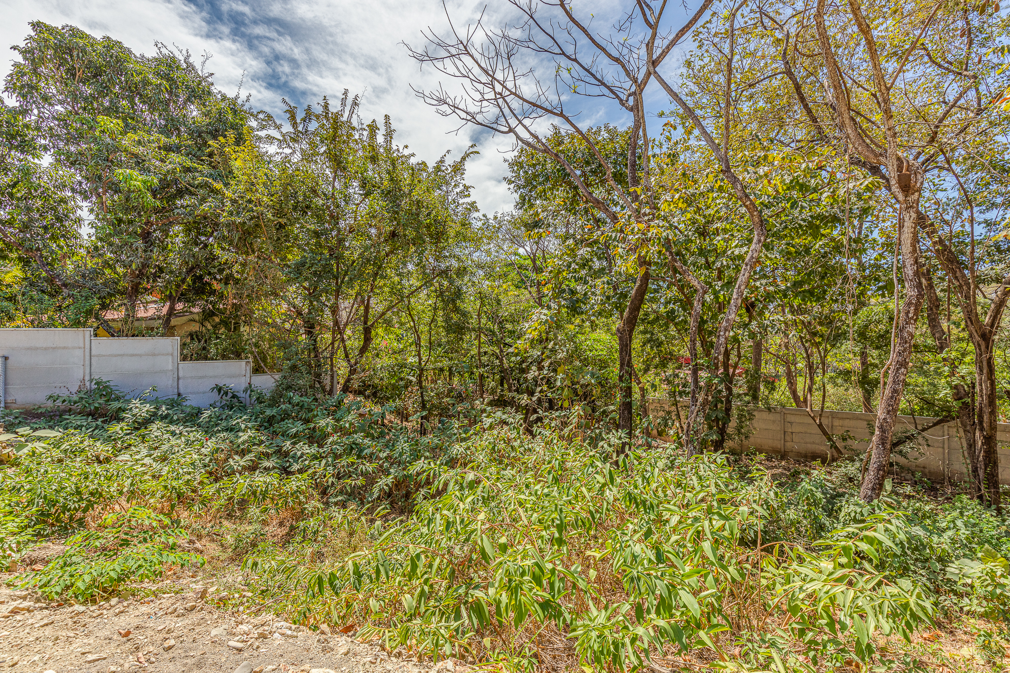 0 bed Land For Sale in Nosara, Guanacaste - thumb 5