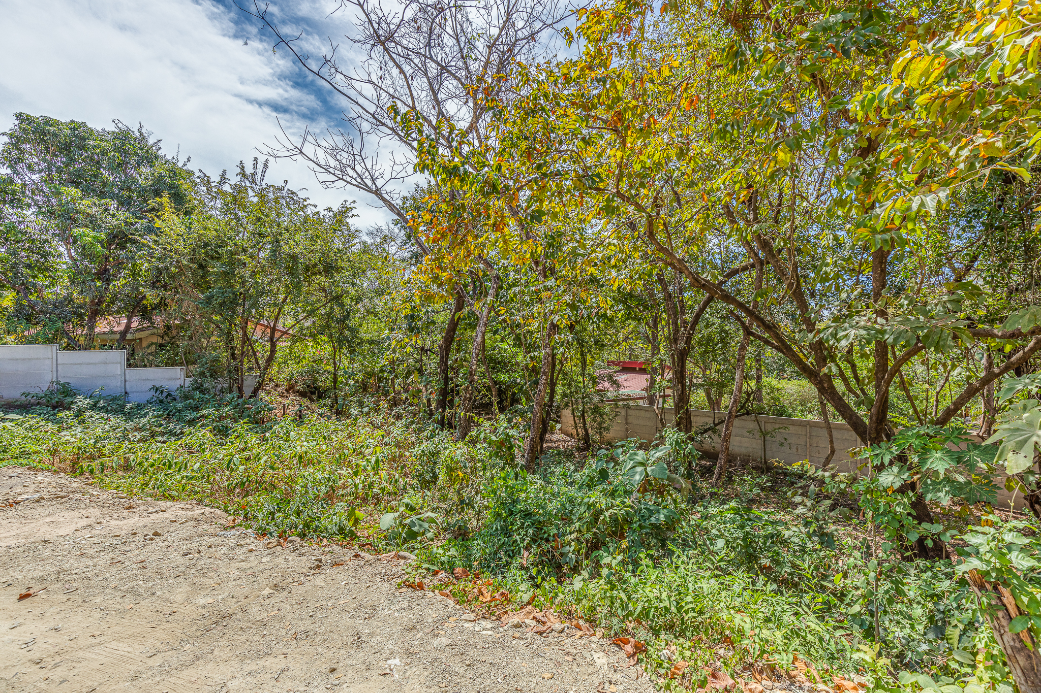 0 bed Land For Sale in Nosara, Guanacaste - thumb 4