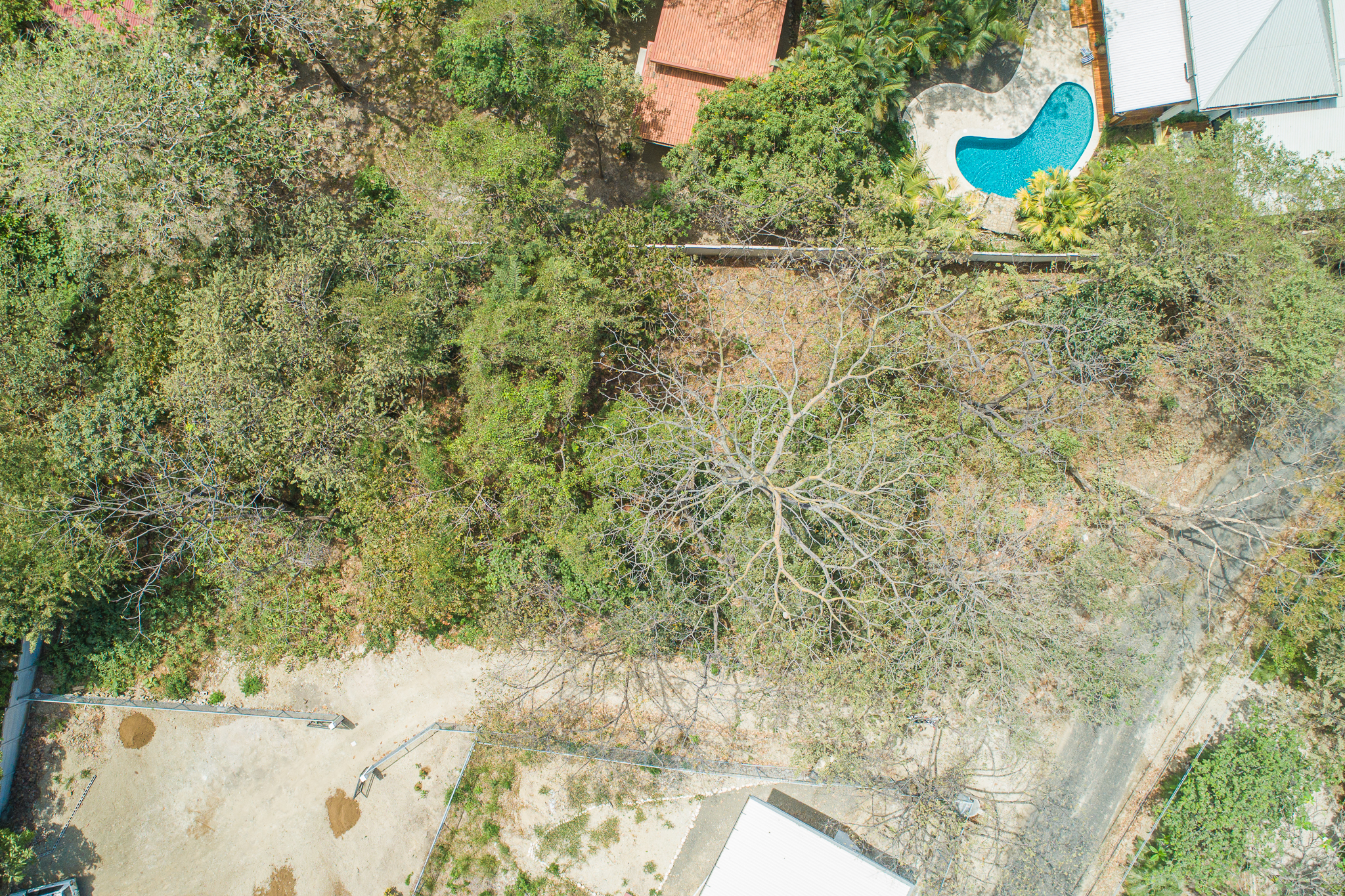 0 bed Land For Sale in Nosara, Guanacaste - thumb 3