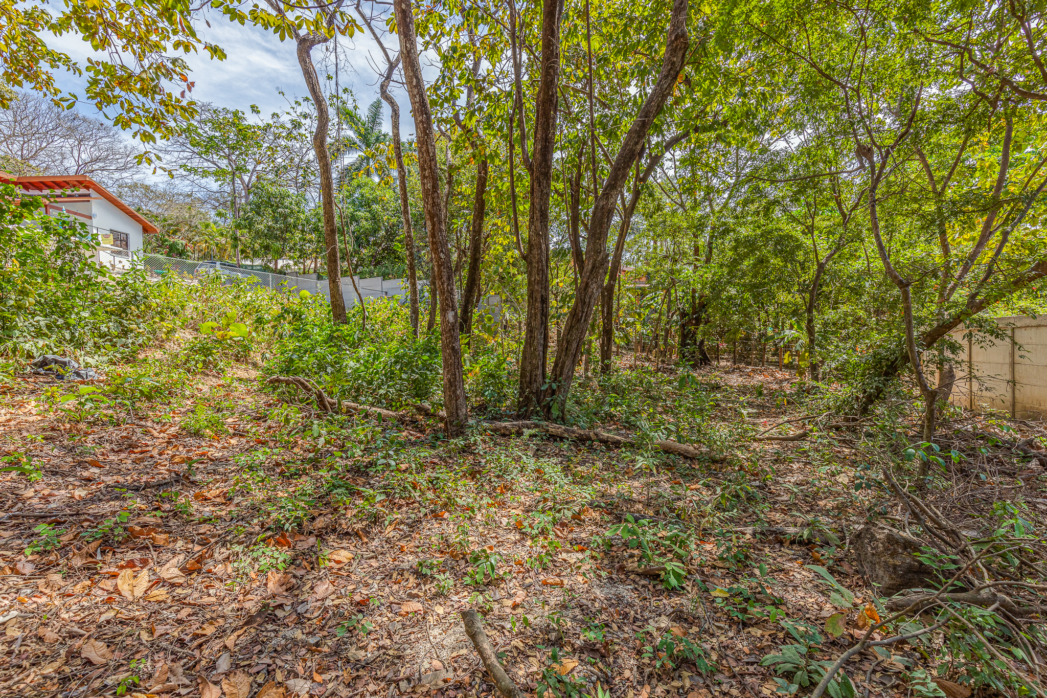 0 bed Land For Sale in Nosara, Guanacaste - thumb 7
